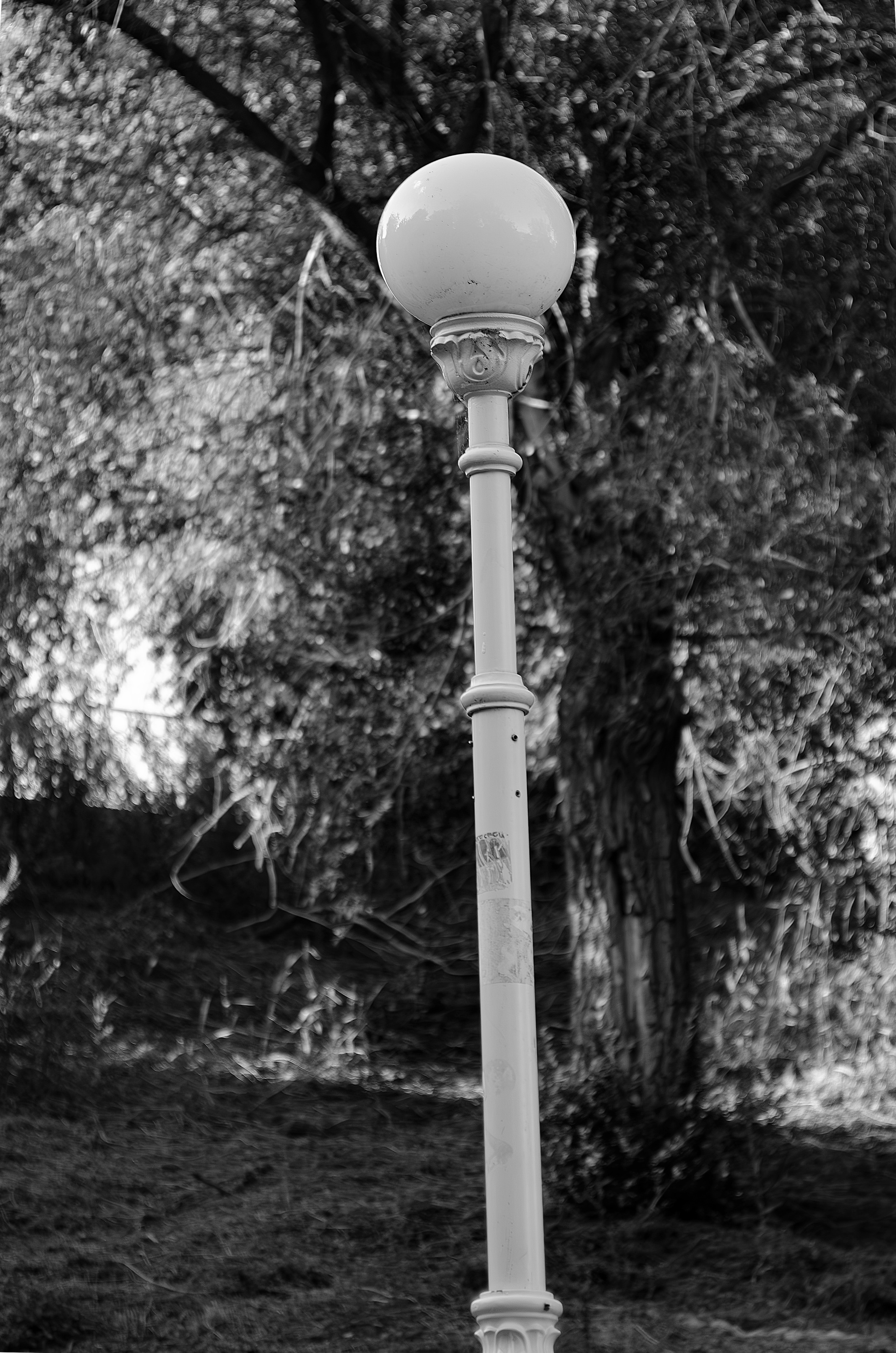 Architechture of Orenburg. Sreda fotoArt