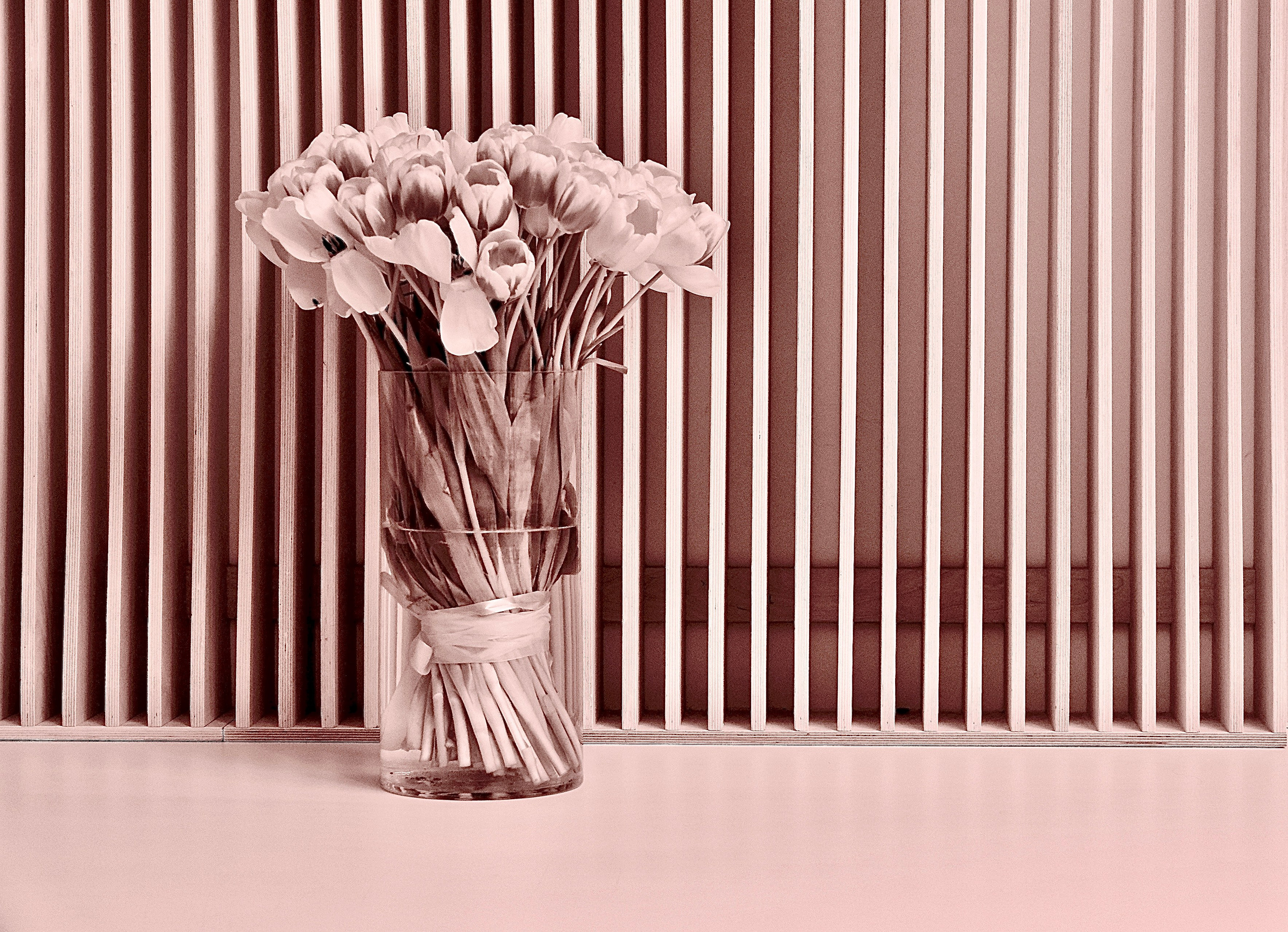 Фотограф Москва. Фотограф и художник в Москве Евгения Нюнина