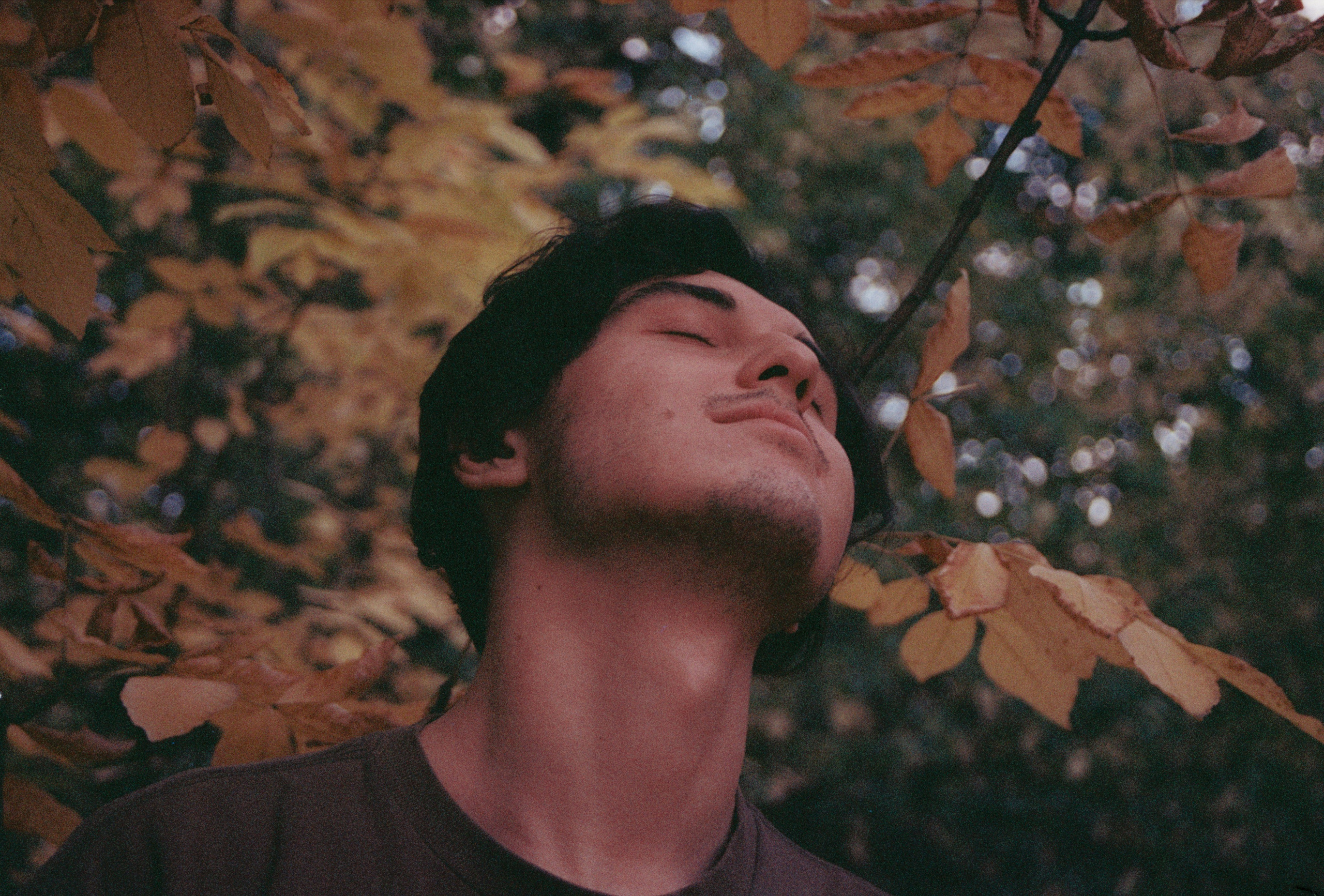 Пленка ЦВЕТ. Фотограф Соня с Земли