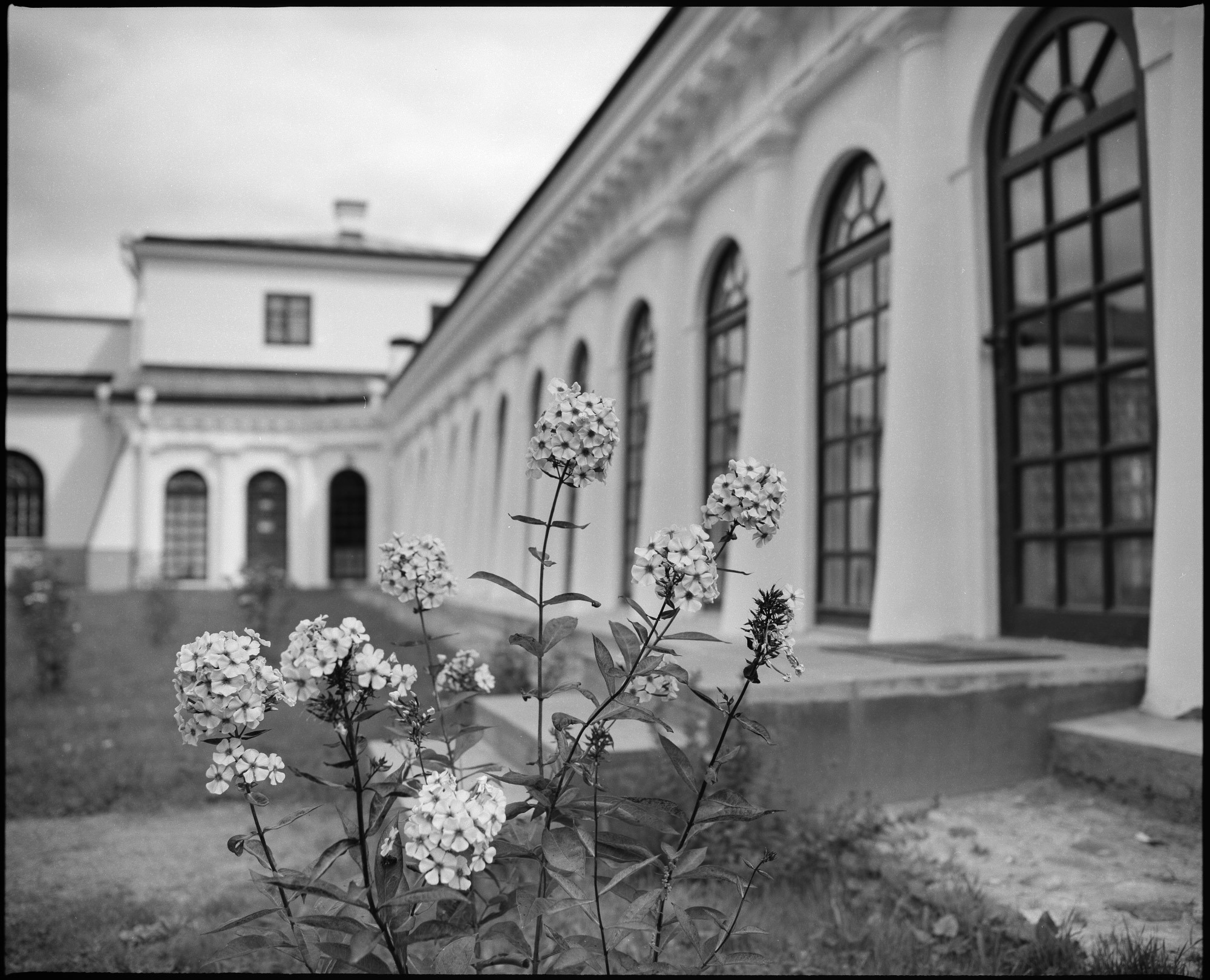 Разные  окна, которые попали в мой объектив. Фотограф Евгений Стельмах в Молодечно и Минске