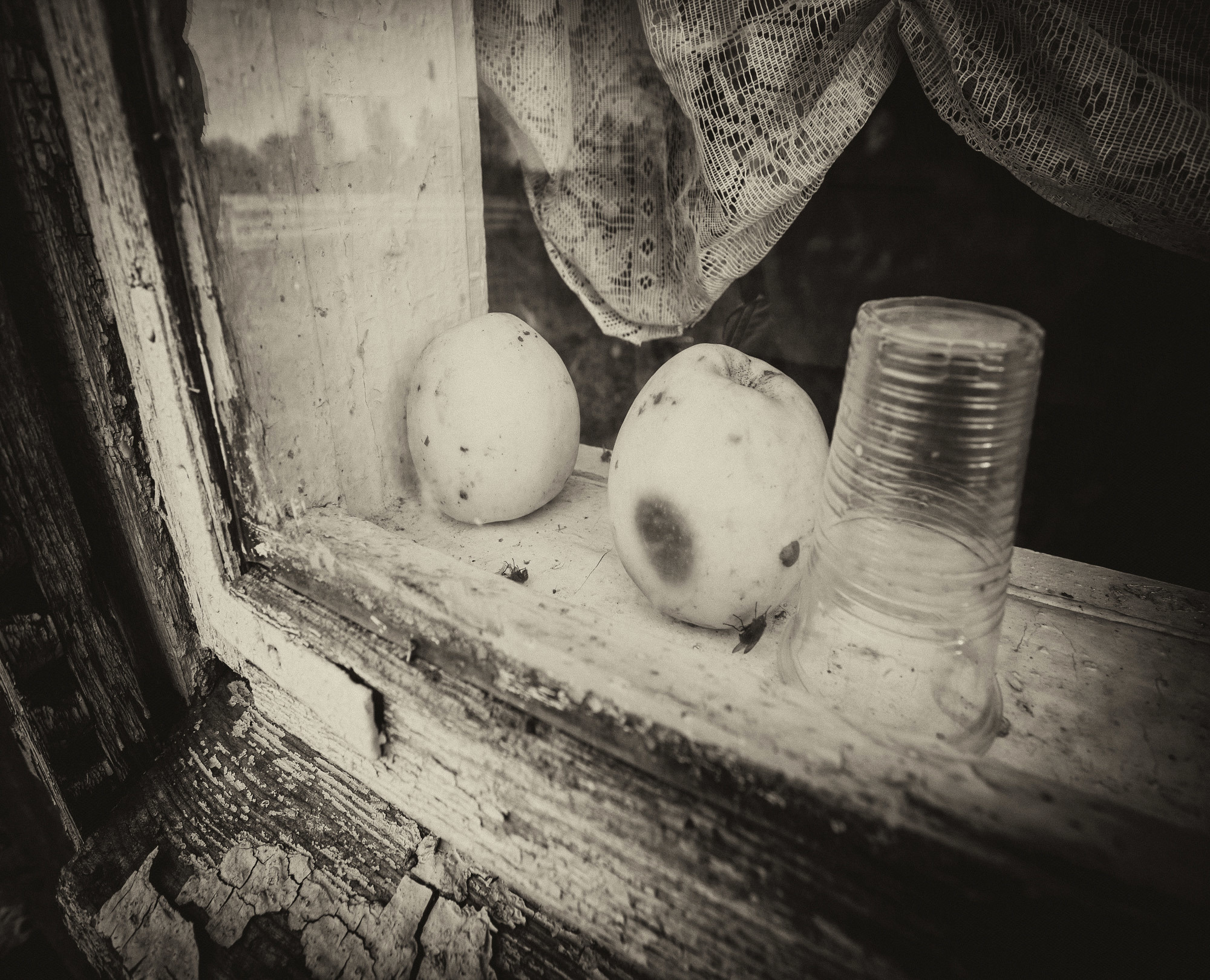 Разные  окна, которые попали в мой объектив. Фотограф Евгений Стельмах в Молодечно и Минске