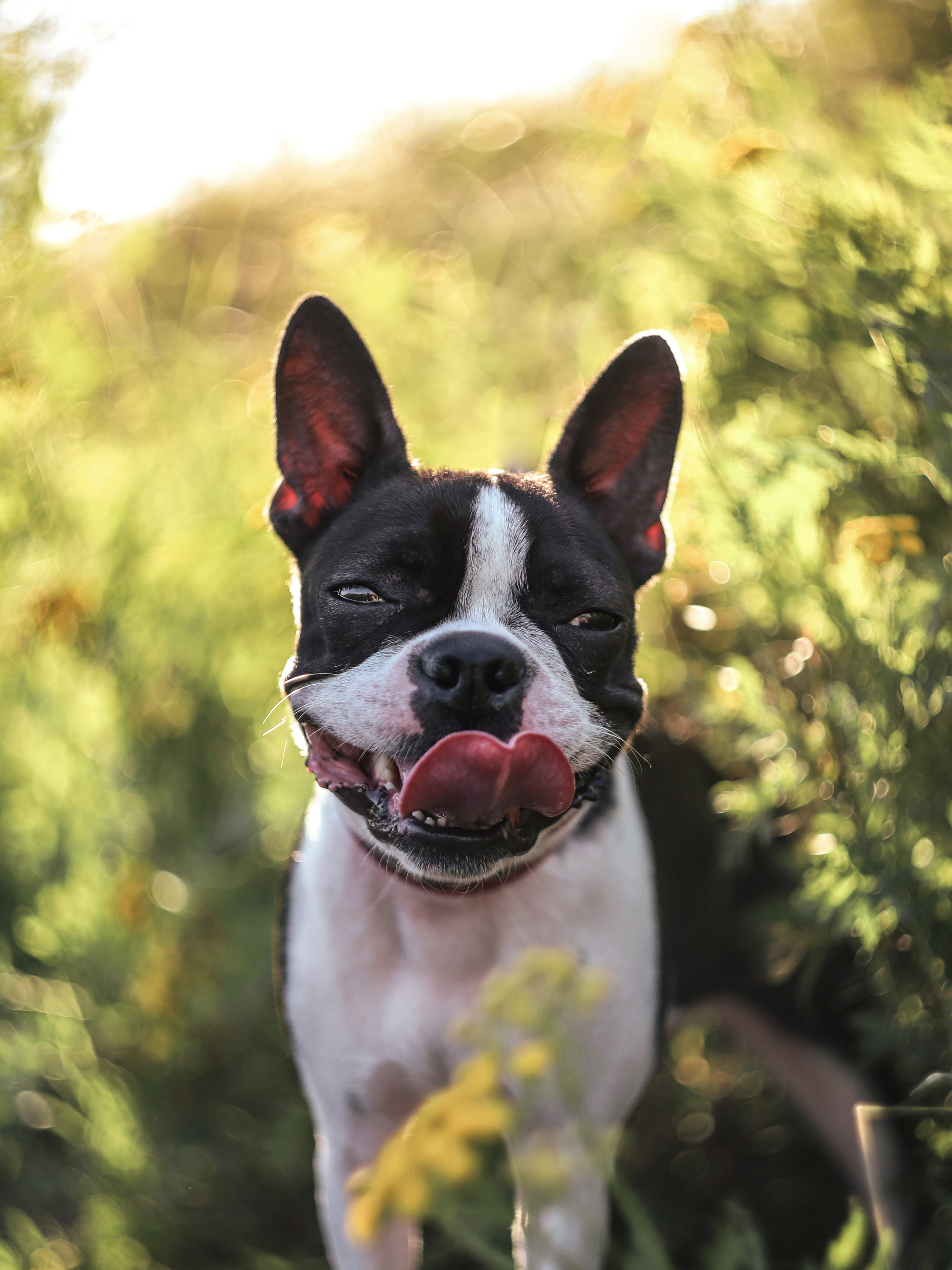 Маша & Ева. Фотограф Ольга Мурзина