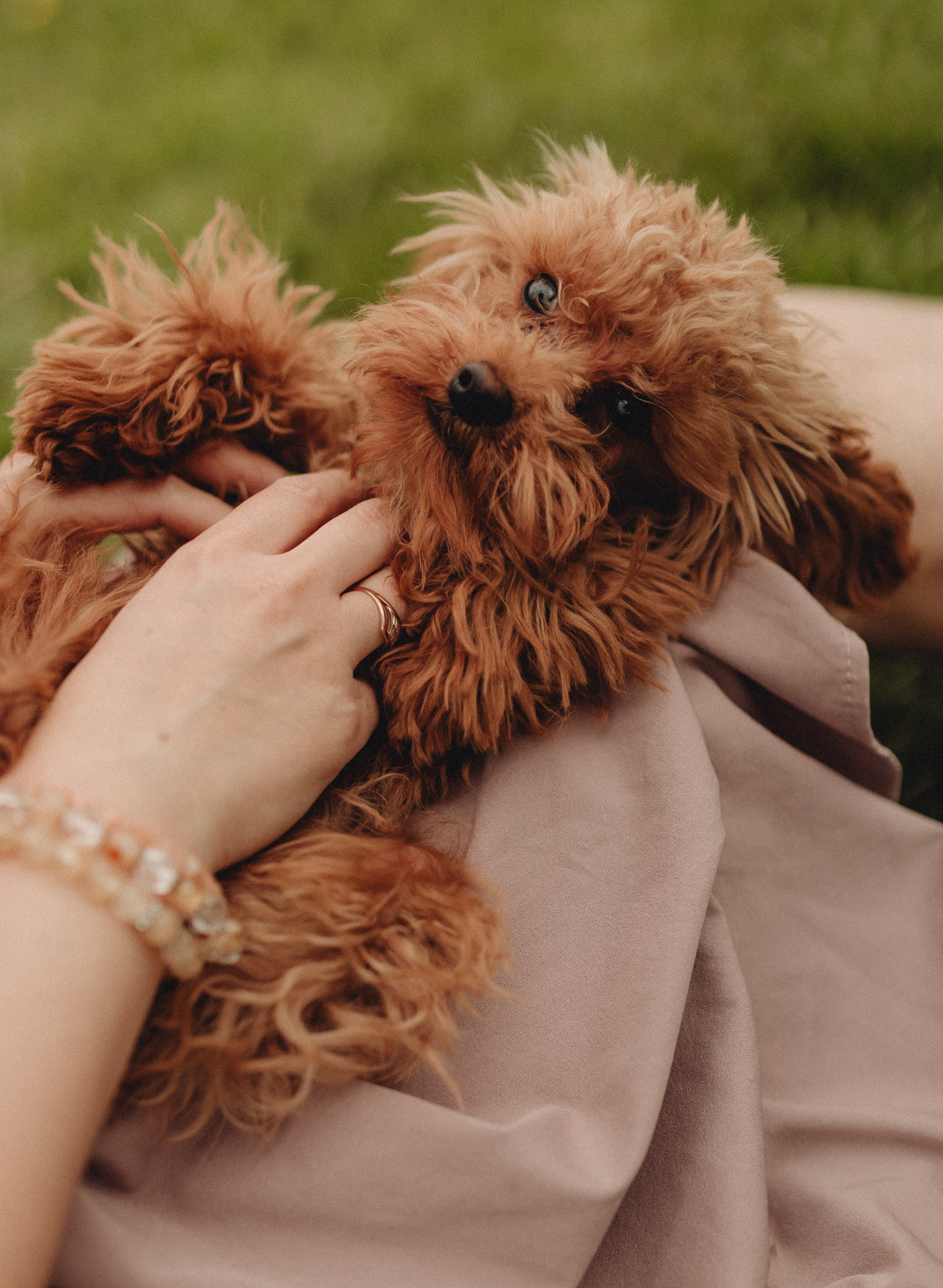 С ЖИВОТНЫМИ. Фотограф Анастасия Гончарова