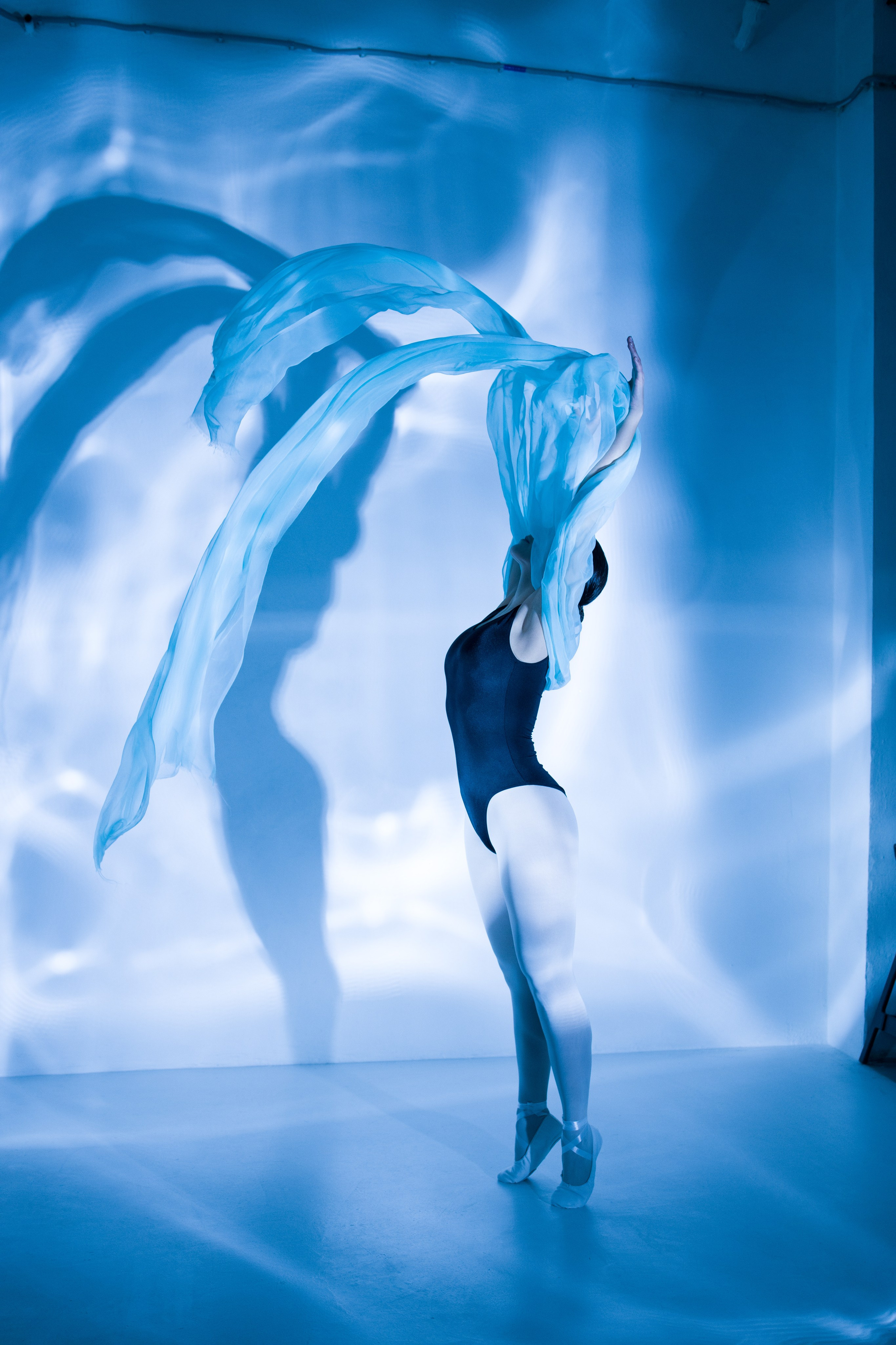 Лилия. Художественная фотография