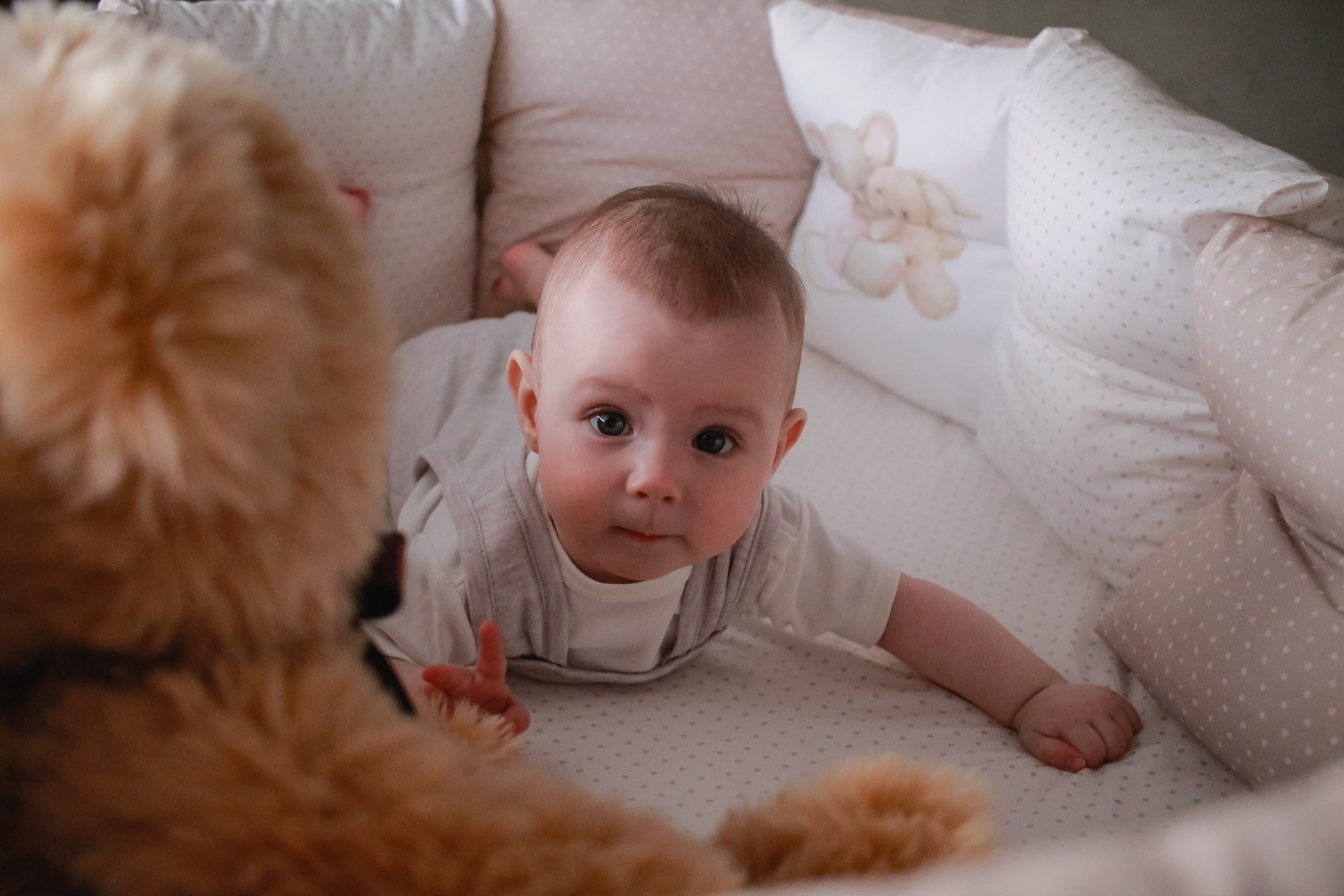 Евгения, Леонид и малышка Вероника. Семейный и детский фотограф в Якутске Людмила Кутовая