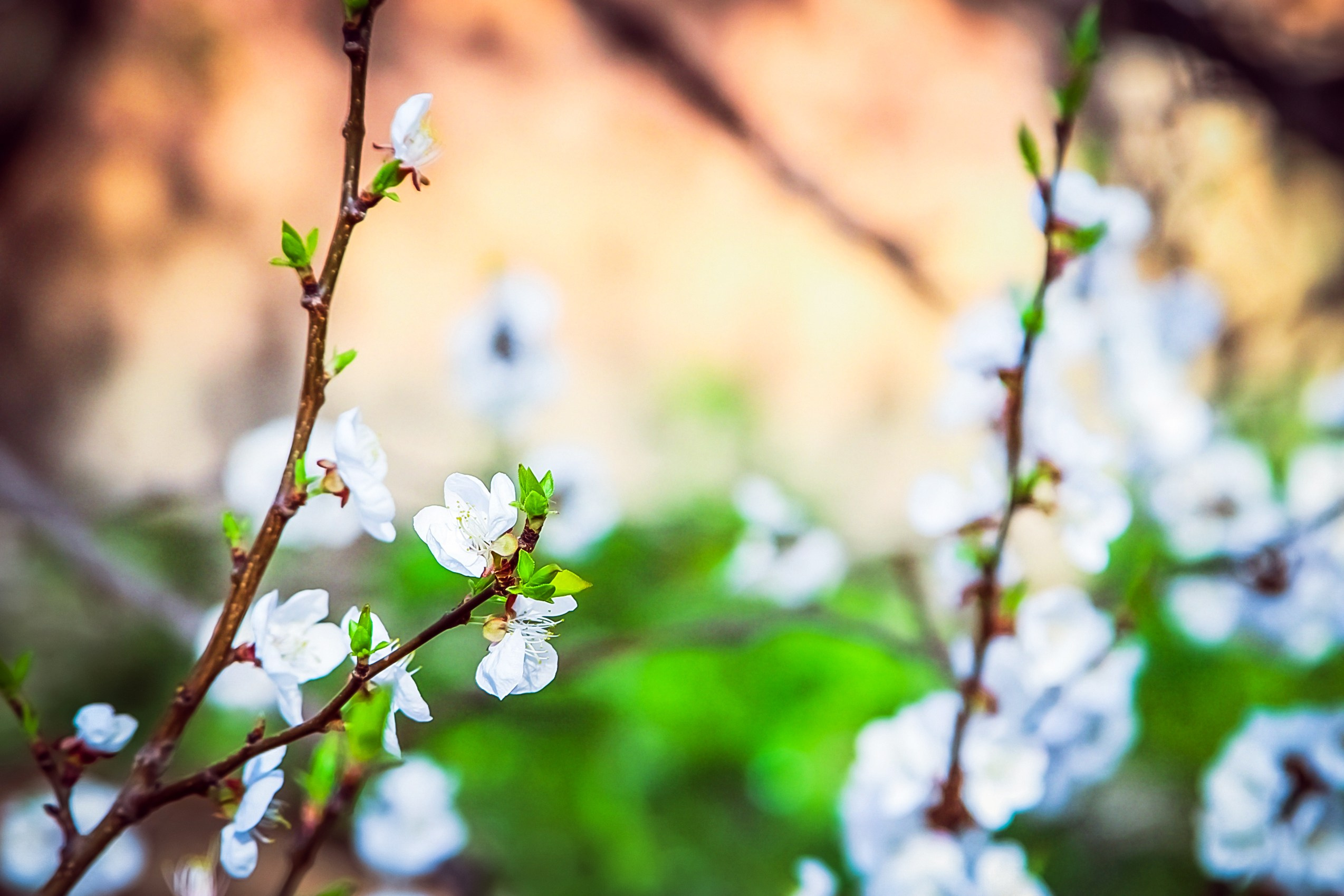 Vika. Фотограф Наталия Новгородова. Портрет, fashion, Beauty