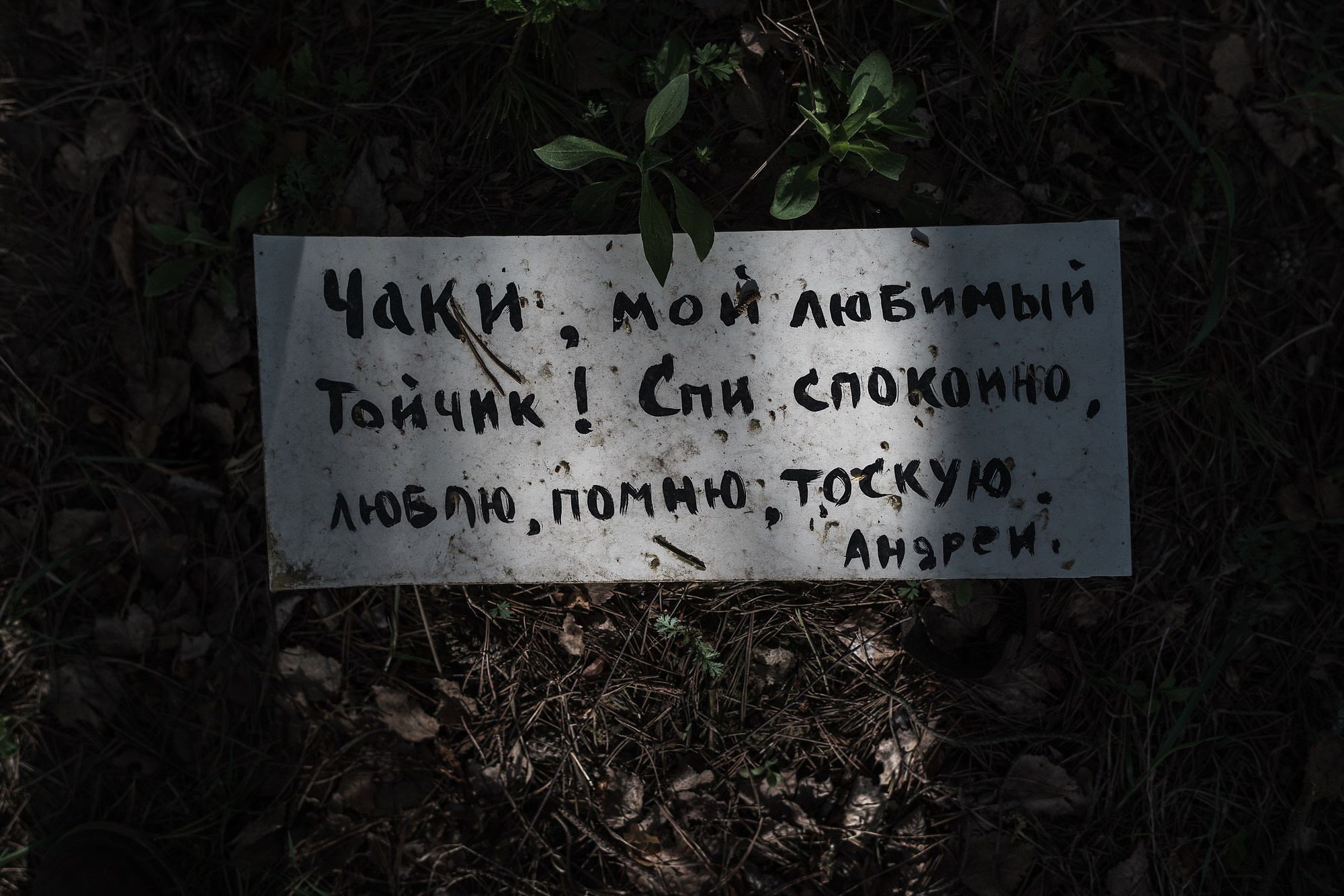 Кладбище домашних животных. Промышленная и репортажная фотография