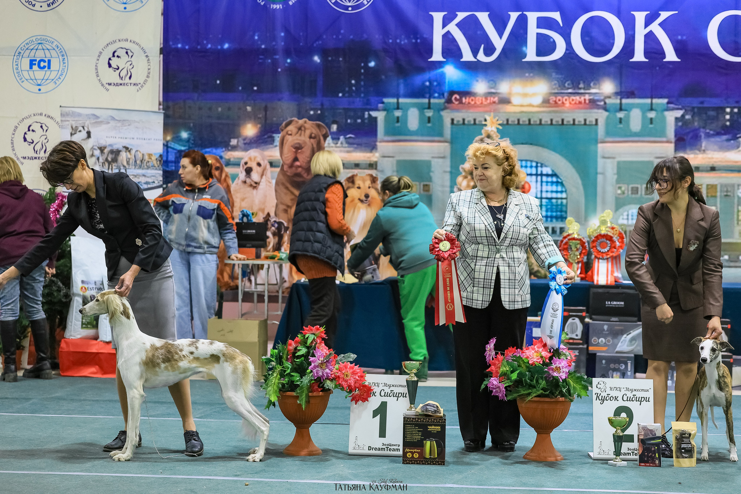 6-7.12.25 — 1-4 Национальные выставки собак в Новосибирске (2х рейтинговые). Фотограф Анималист из Новосибирска Татьяна Кауфман