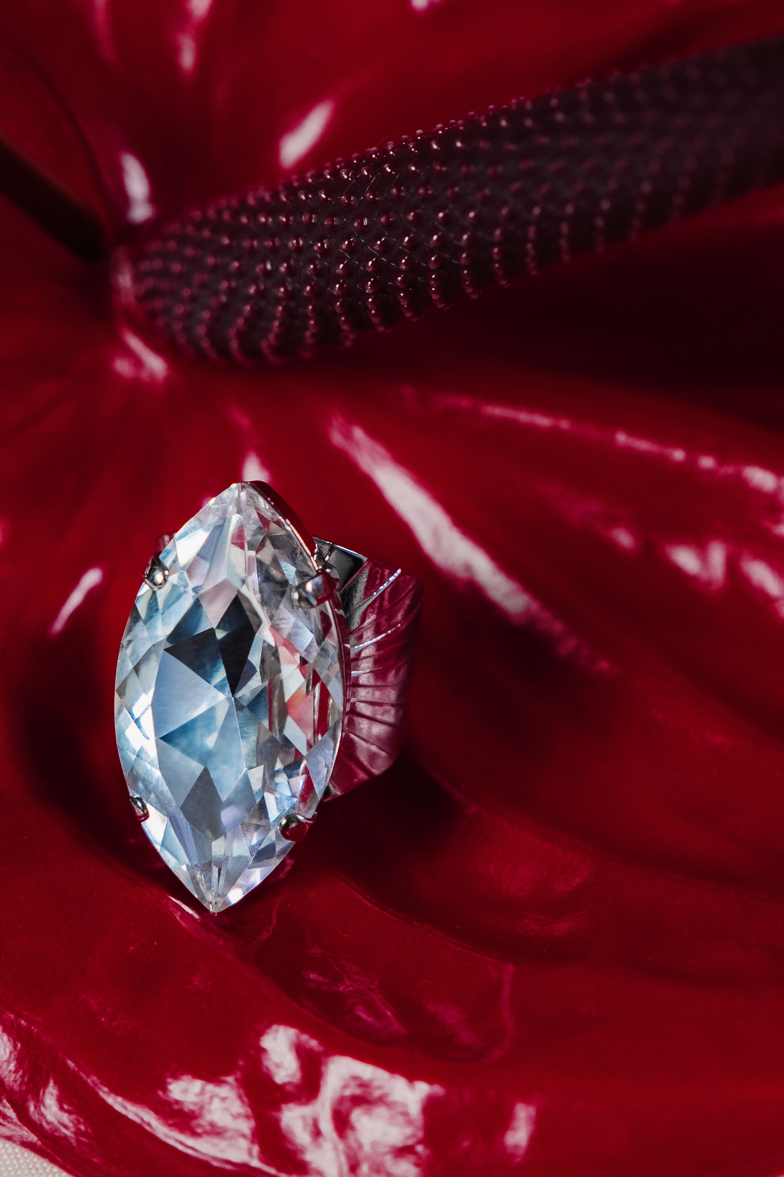 Poison Drop. Продюсер фото и видео съемок под ключ Москва