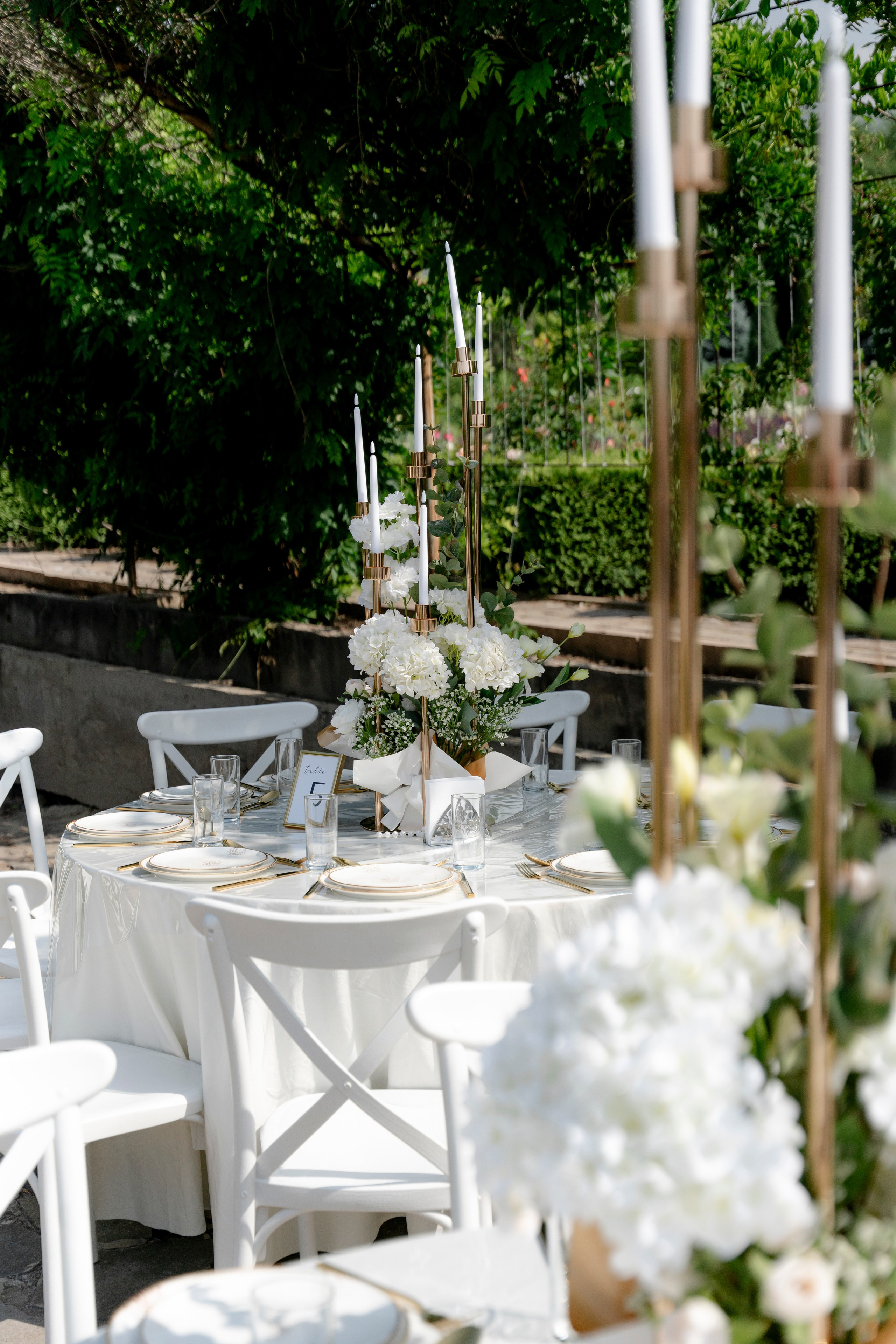 Taiman & Zumrada. Galam media