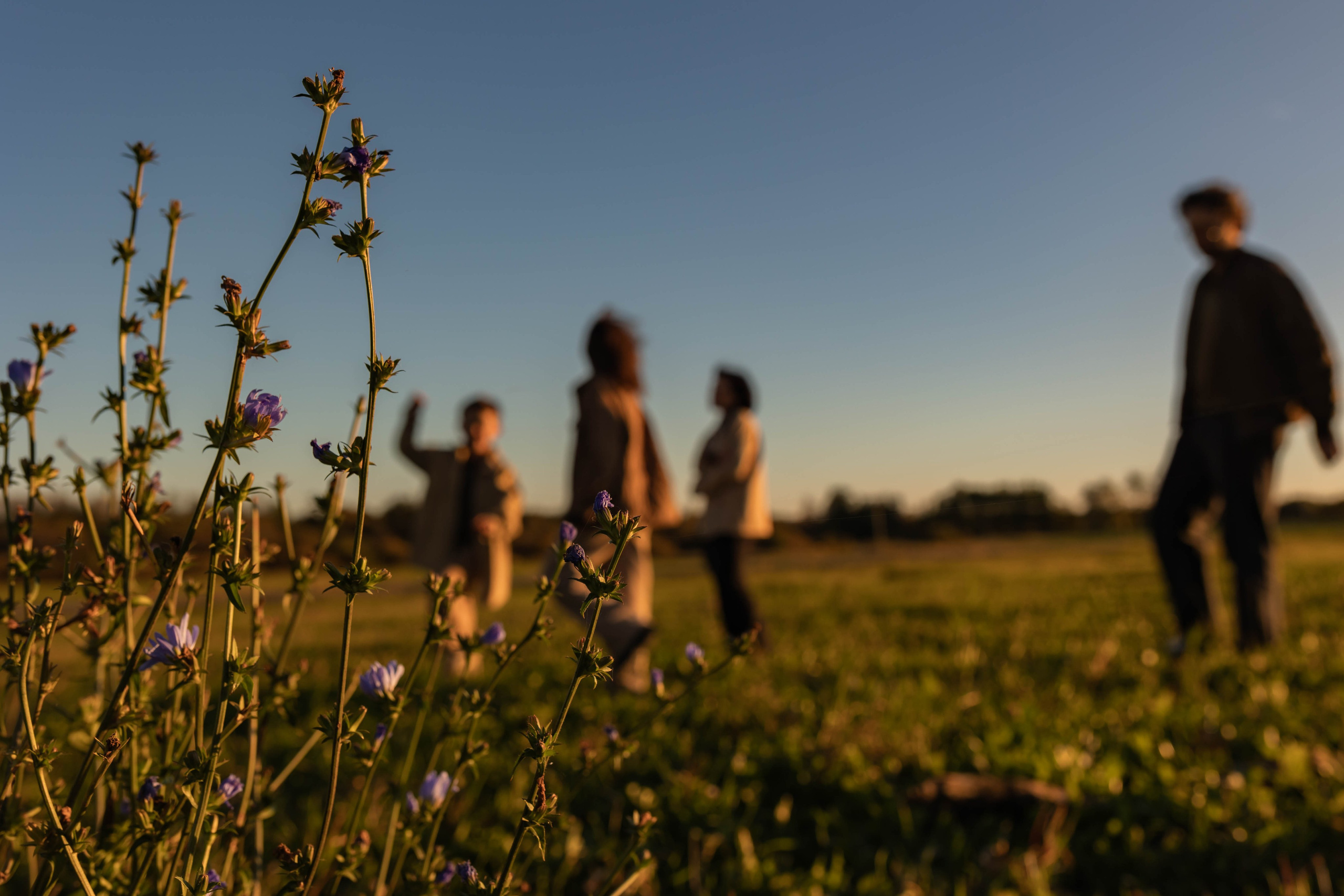 Дуб и клён. Семейный фотограф в Санкт-Петербурге Любовь Савкина