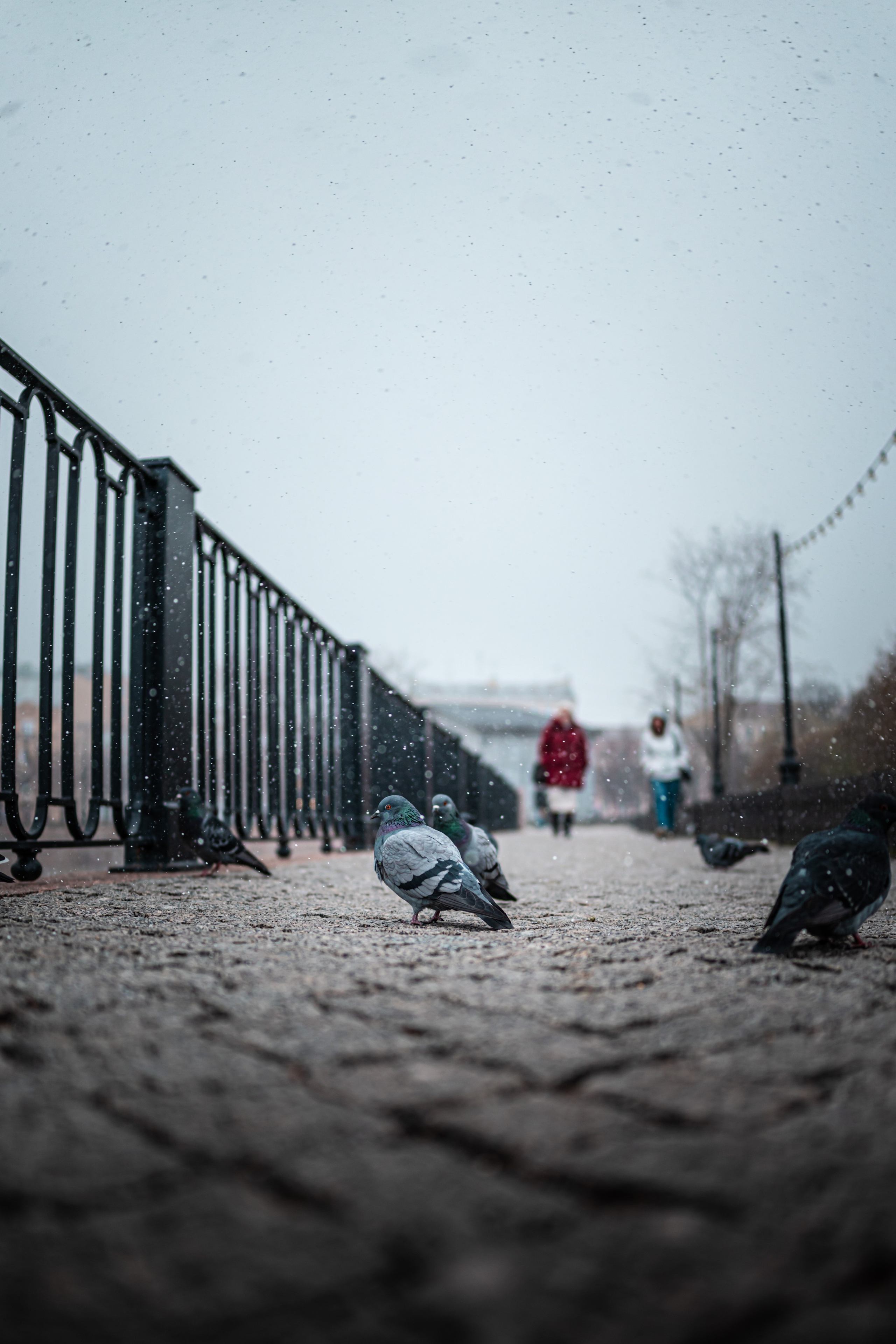 Street. Фотограф в Санкт-Петербурге Шевцов Андрей