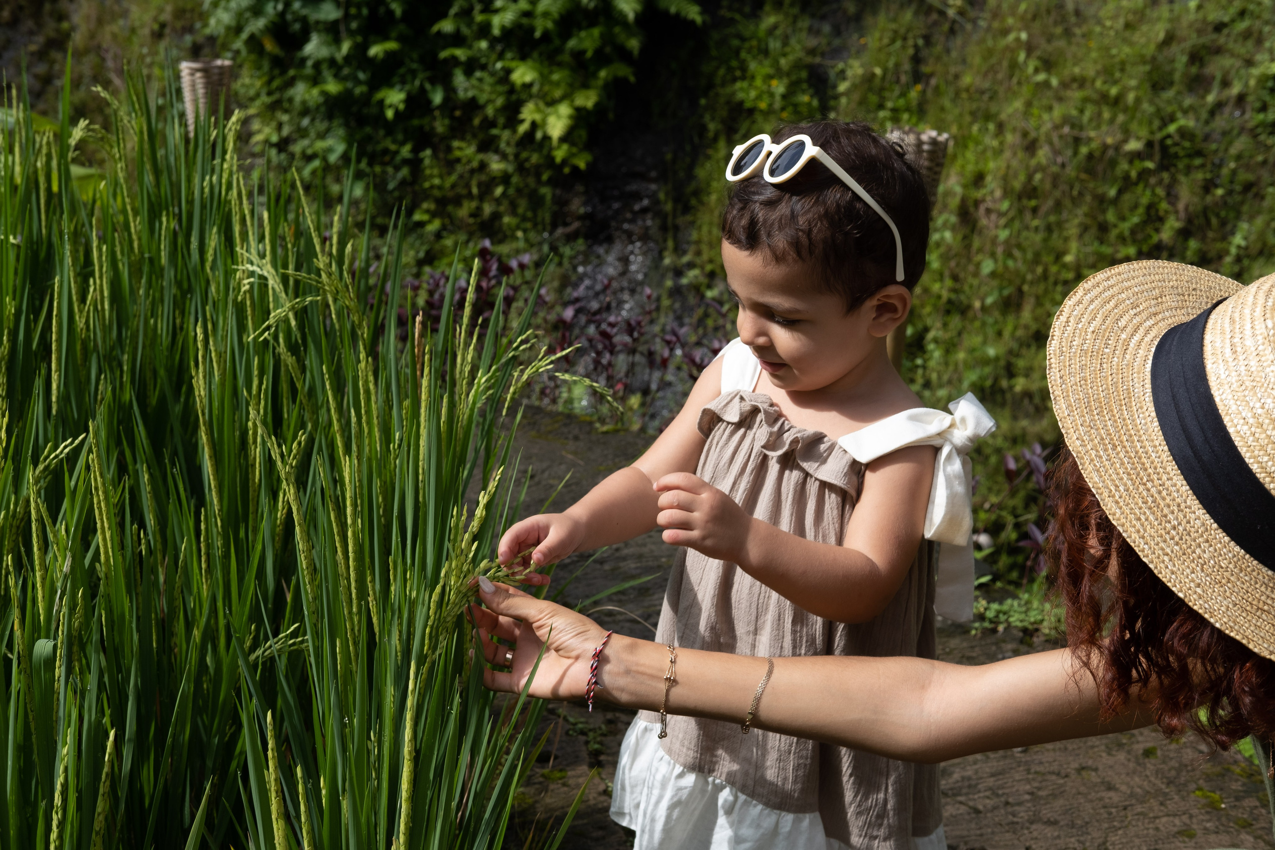 Бали|Рисовые террасы. Фотограф на Бали|Свадьба на Бали