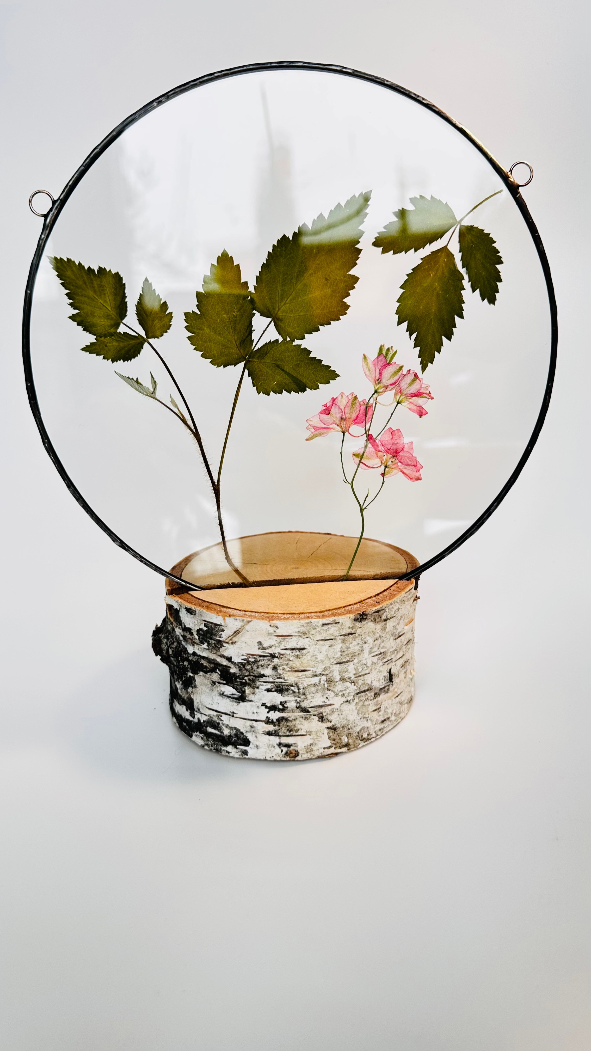 Гербарий в стекле с сухоцветами (витраж в технике тиффани). Гербарий в стекле, интерьерные панно, витражи с сухоцветами в технике тиффани