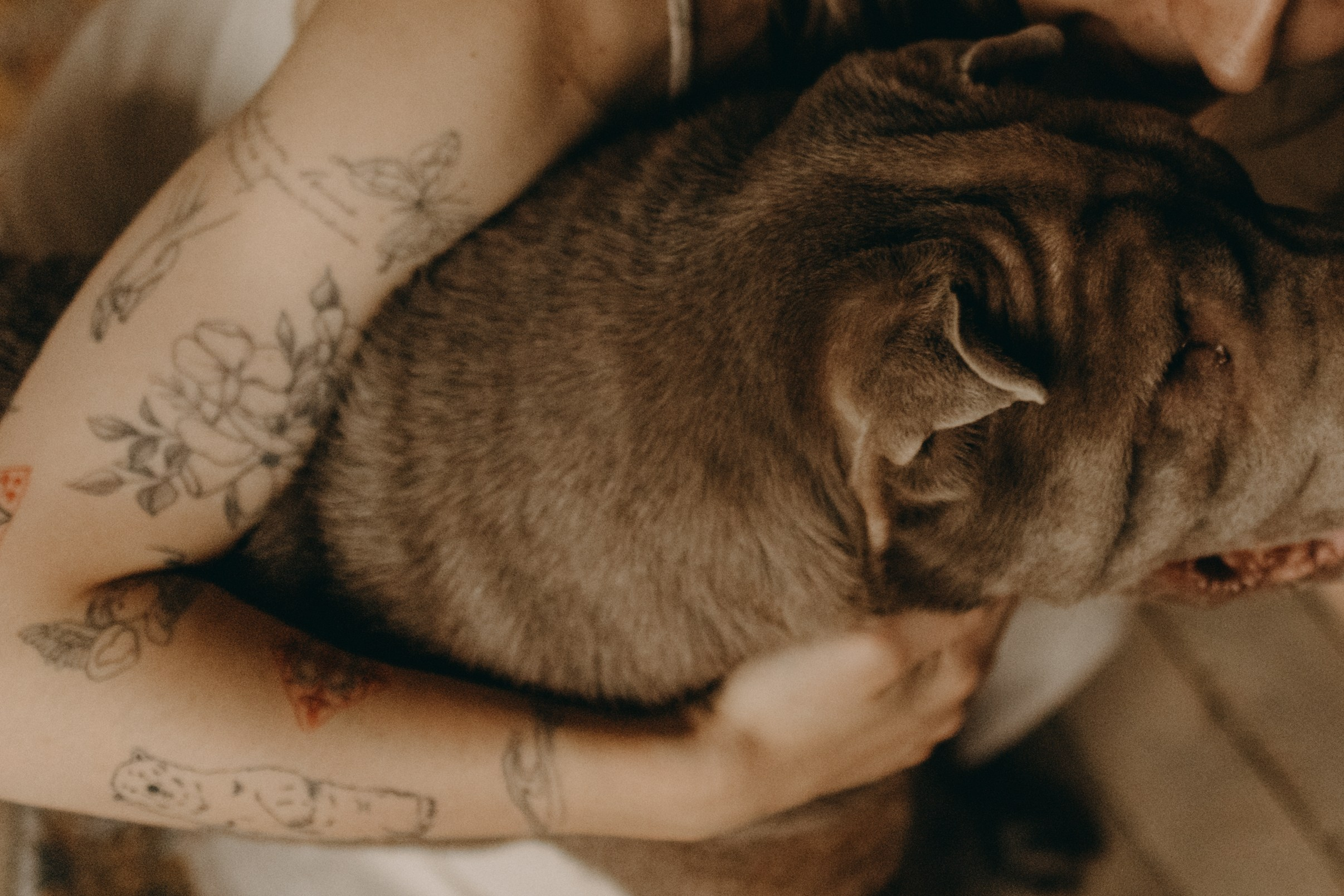 Ульяна и Вагнер. Фотограф — Анималист | Санкт-Петербург