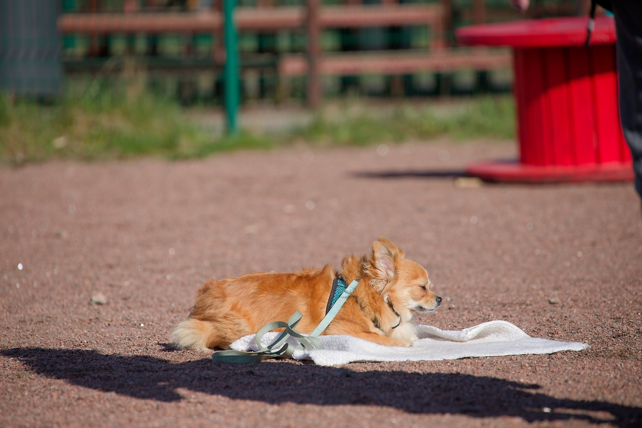 Турнир «Место». Irenephoto.ru