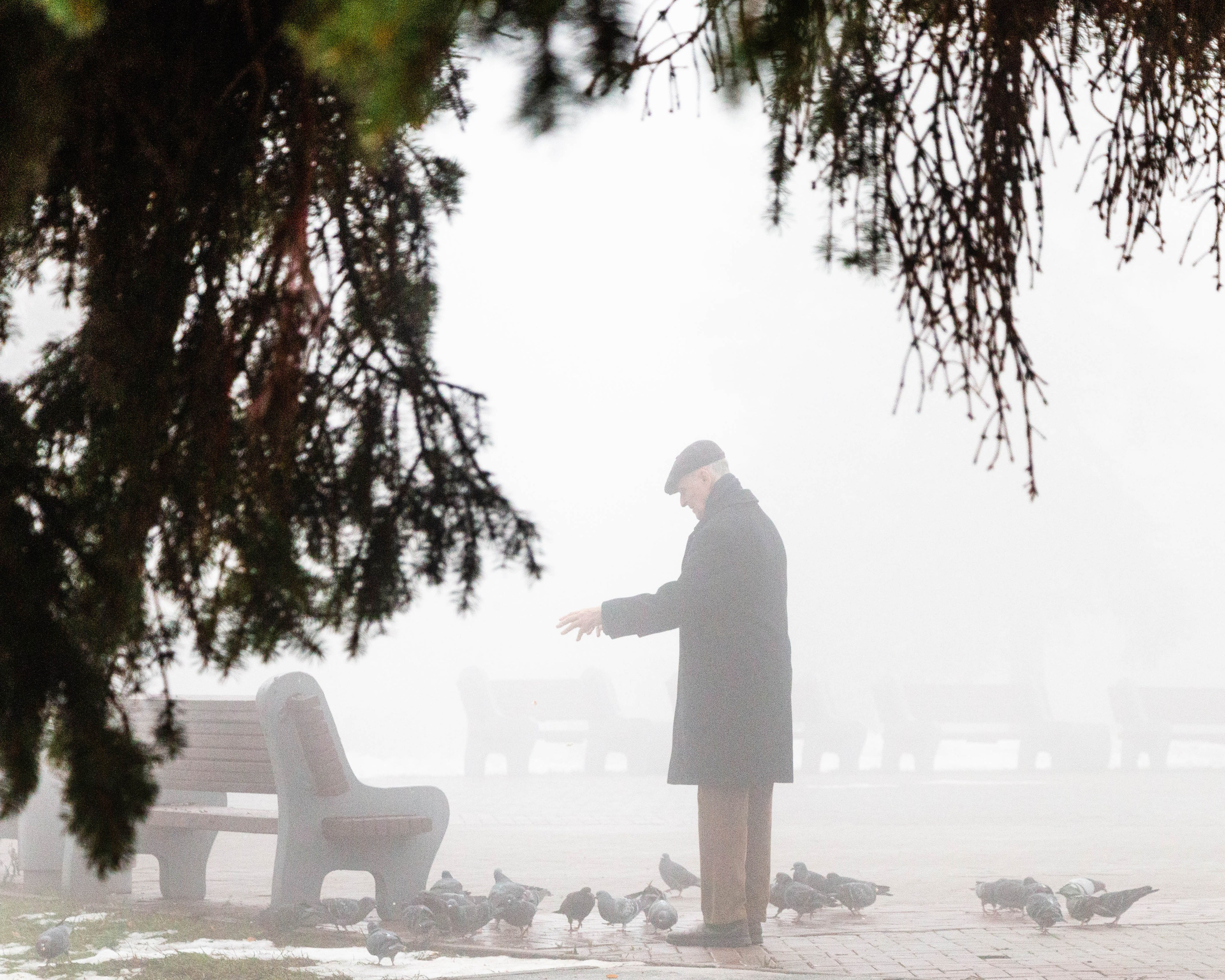 Мужчина кормит птиц ранним туманным утром