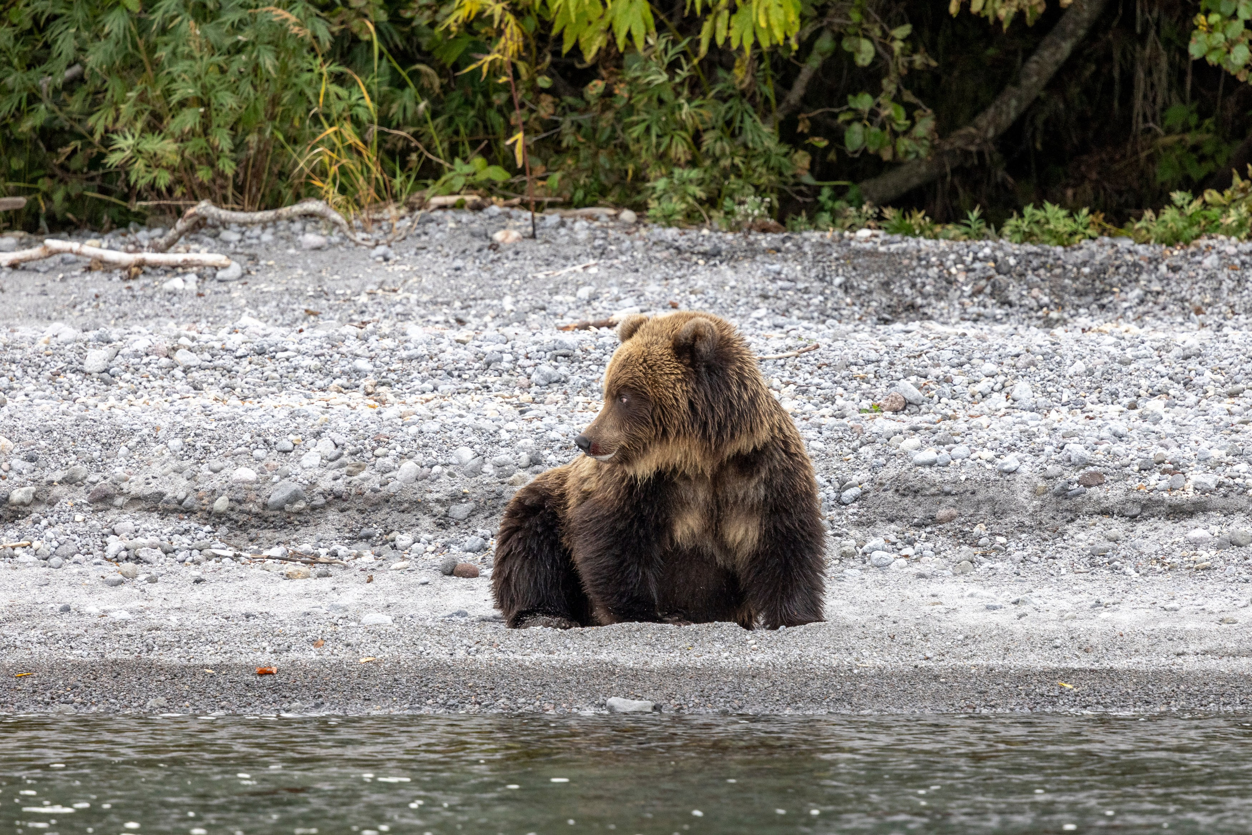Курильское озеро — шестидневный тур в сердце дикой Камчатки. Время Камчатки: чтобы найти свой путь, нужно скорость умножить на время