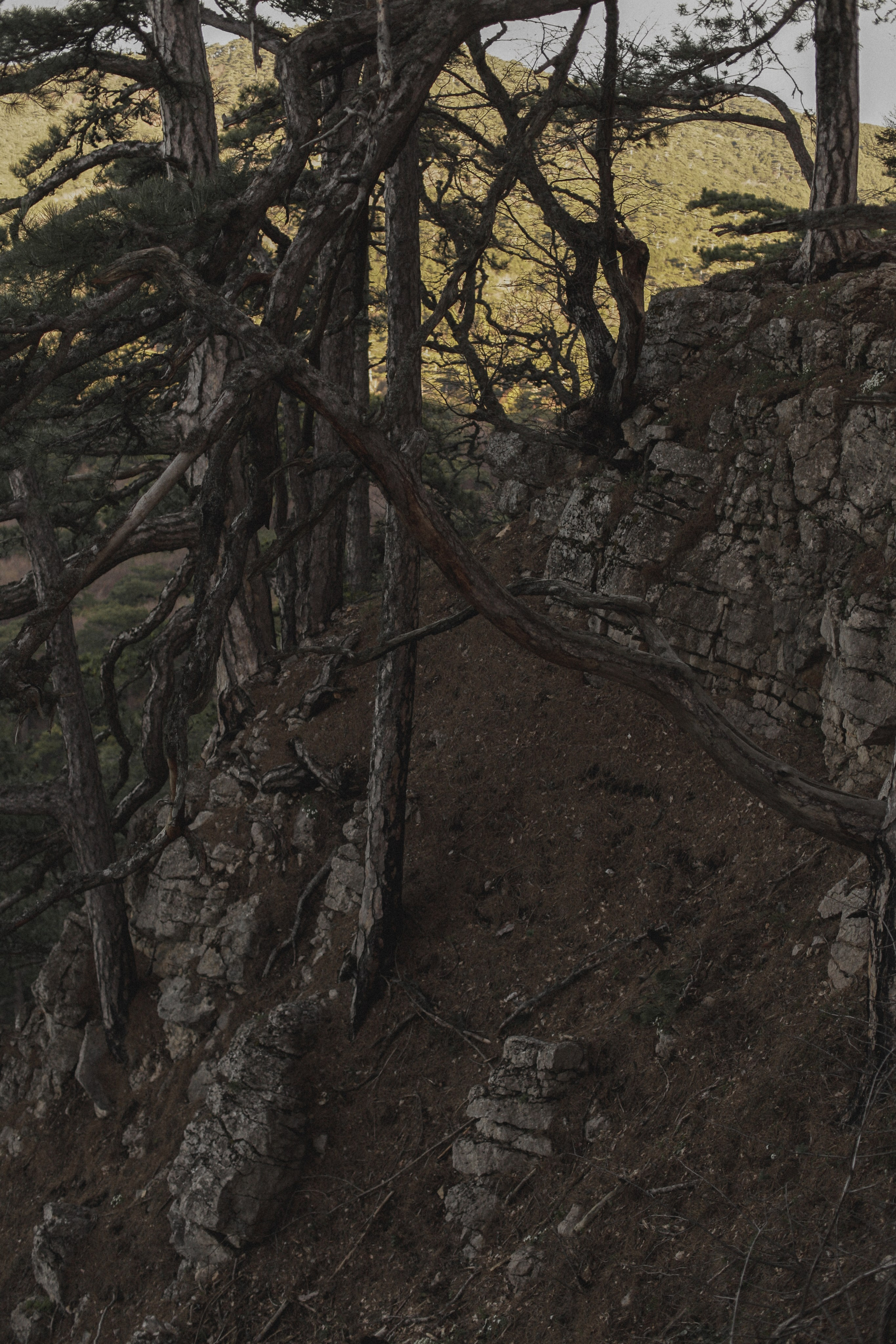 Александр и Влада. Фотограф в Севастополе и Крыму Артем Волобуев