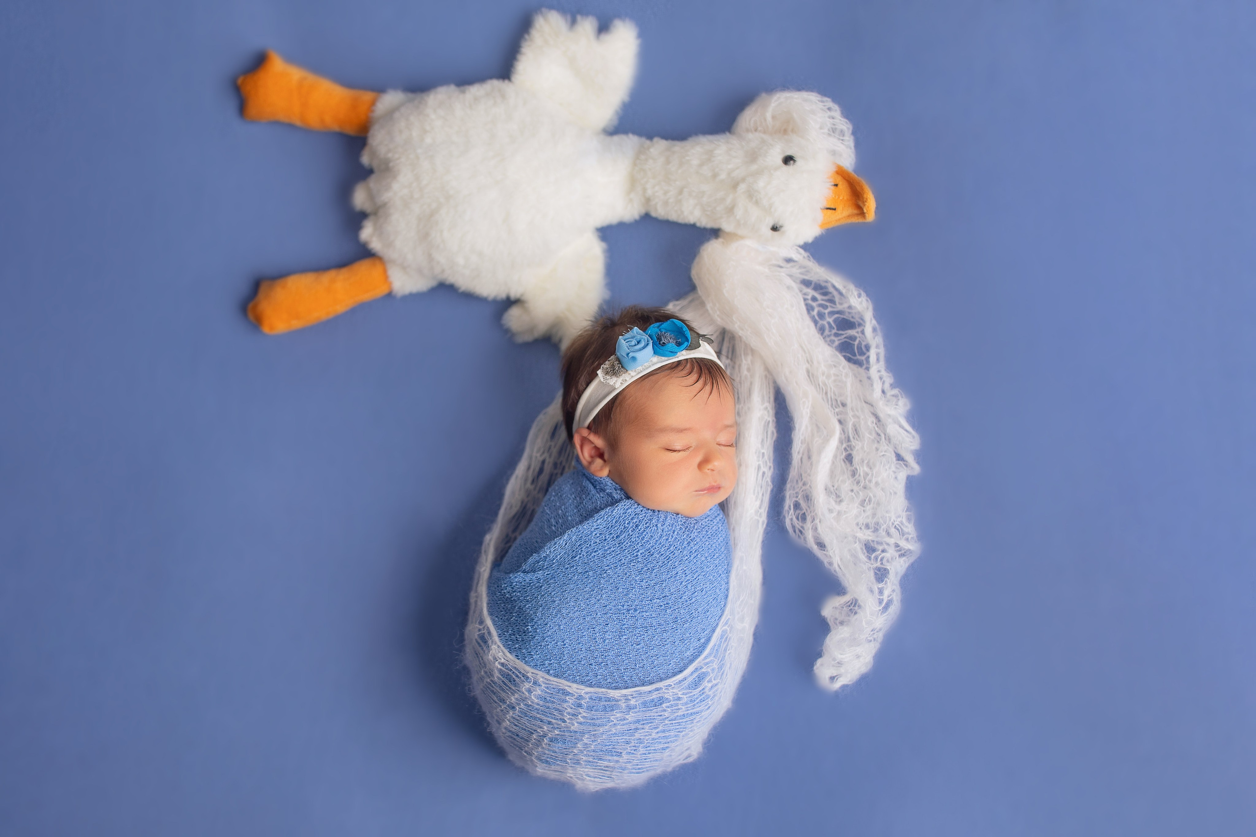 Фотосъемка младенцев Хабаровск, фотосессия новорожденных Хабаровск, фотосессия newborn Хабаровск