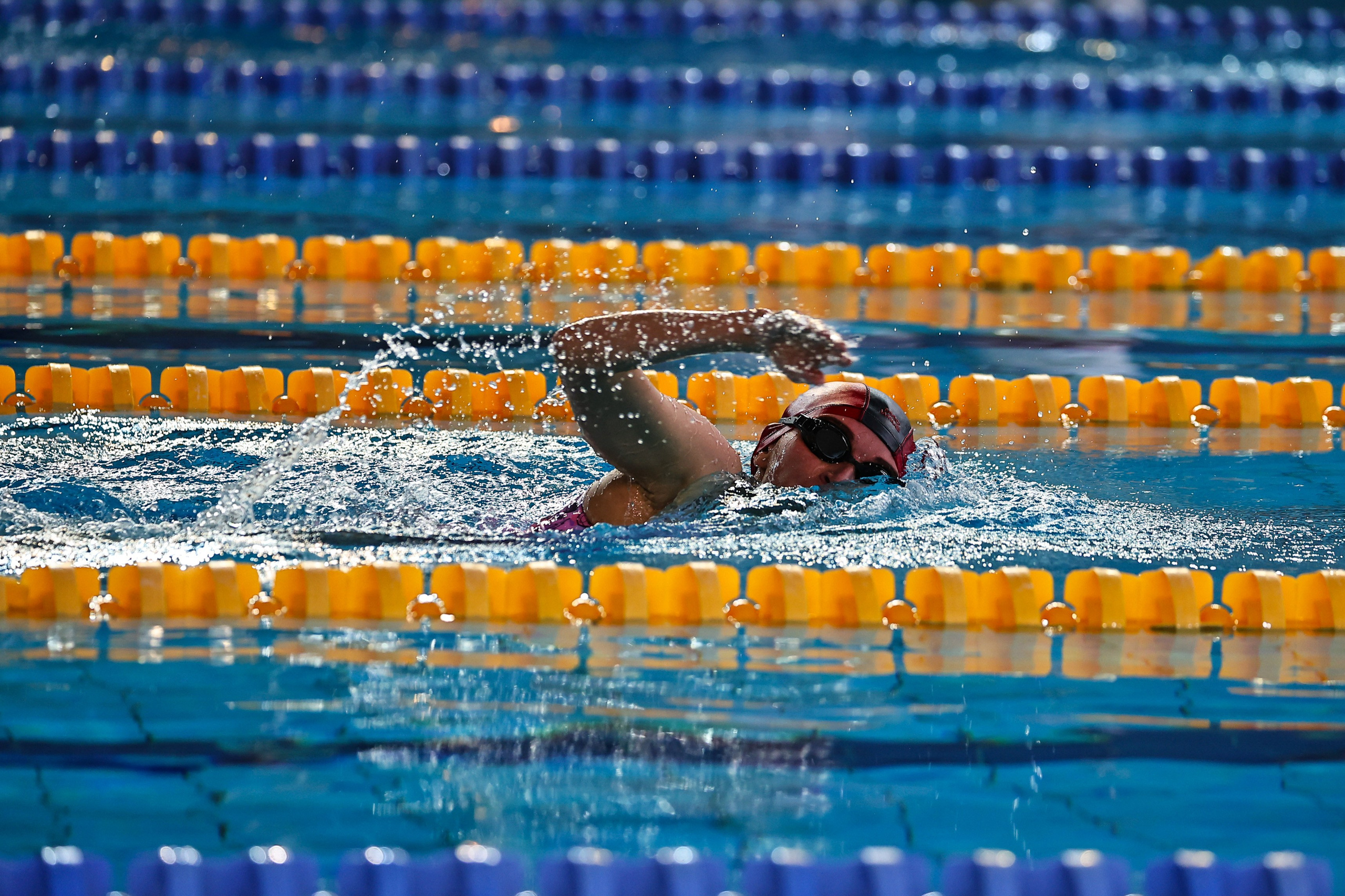 ДЗМ Плавание 2026. Фототерапевт Ева Бунеева