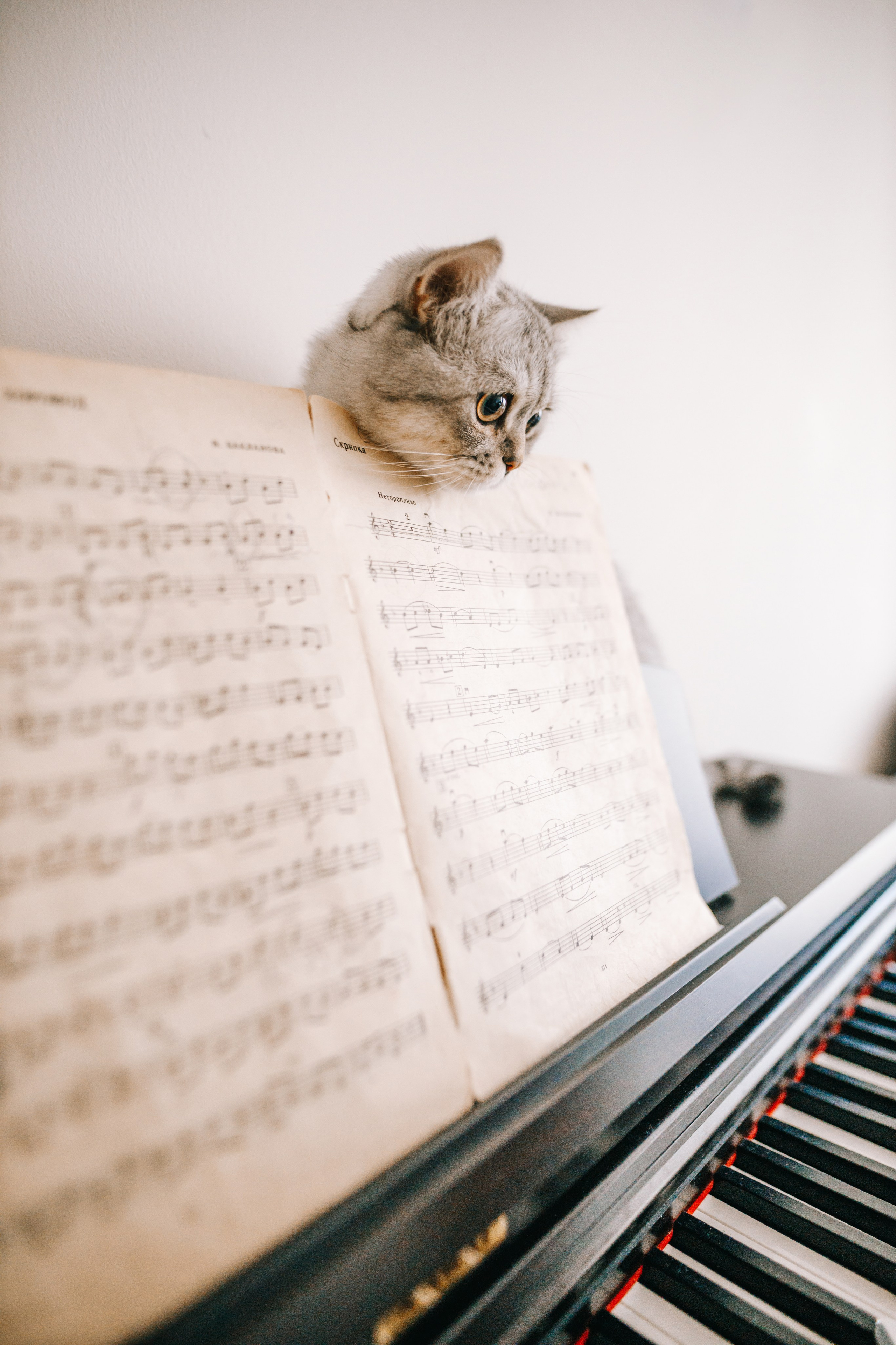 Съёмка дома. Дмитрий Мартьянов семейный фотограф в Санкт-Петербурге