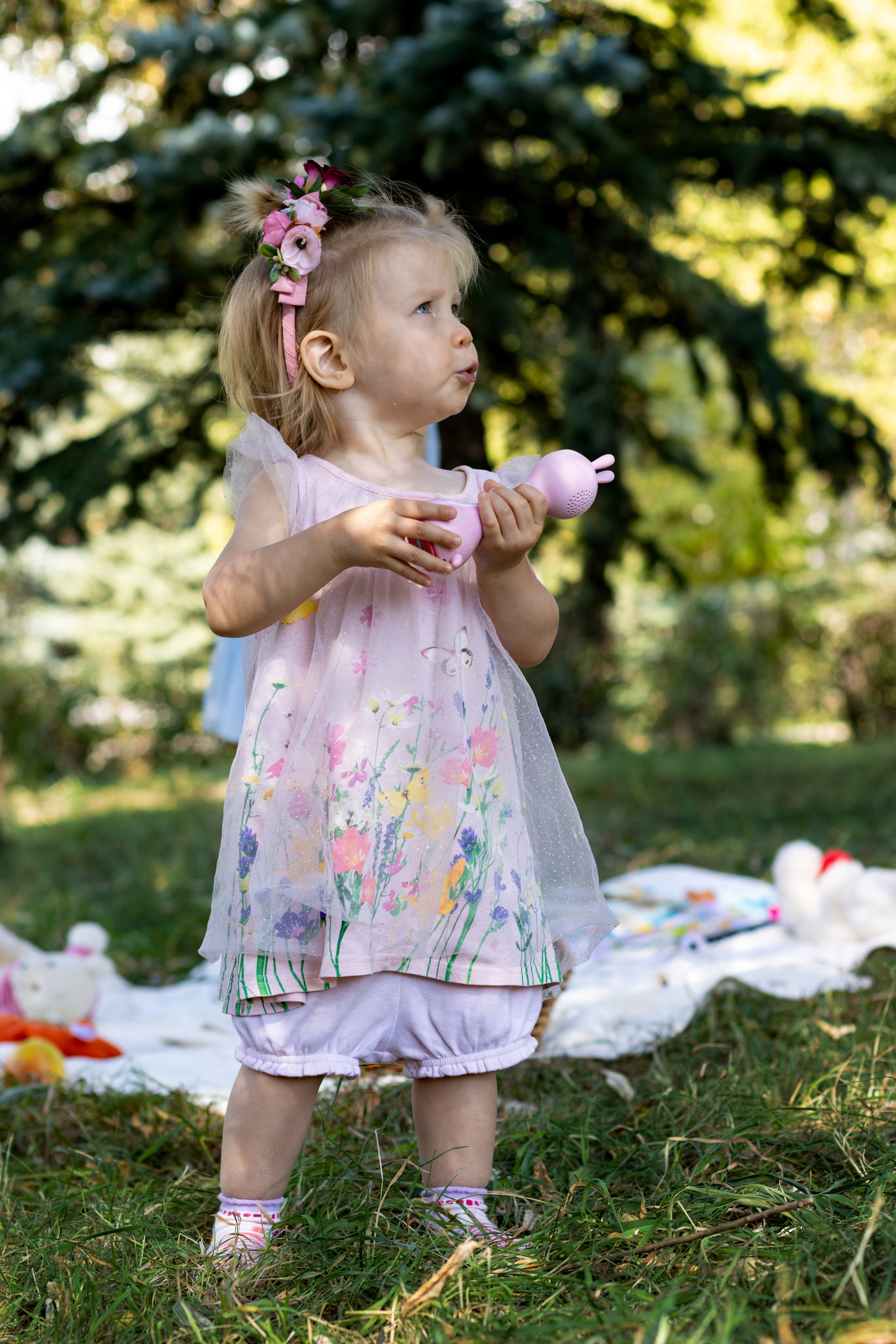 Пикник летним днём. Главная