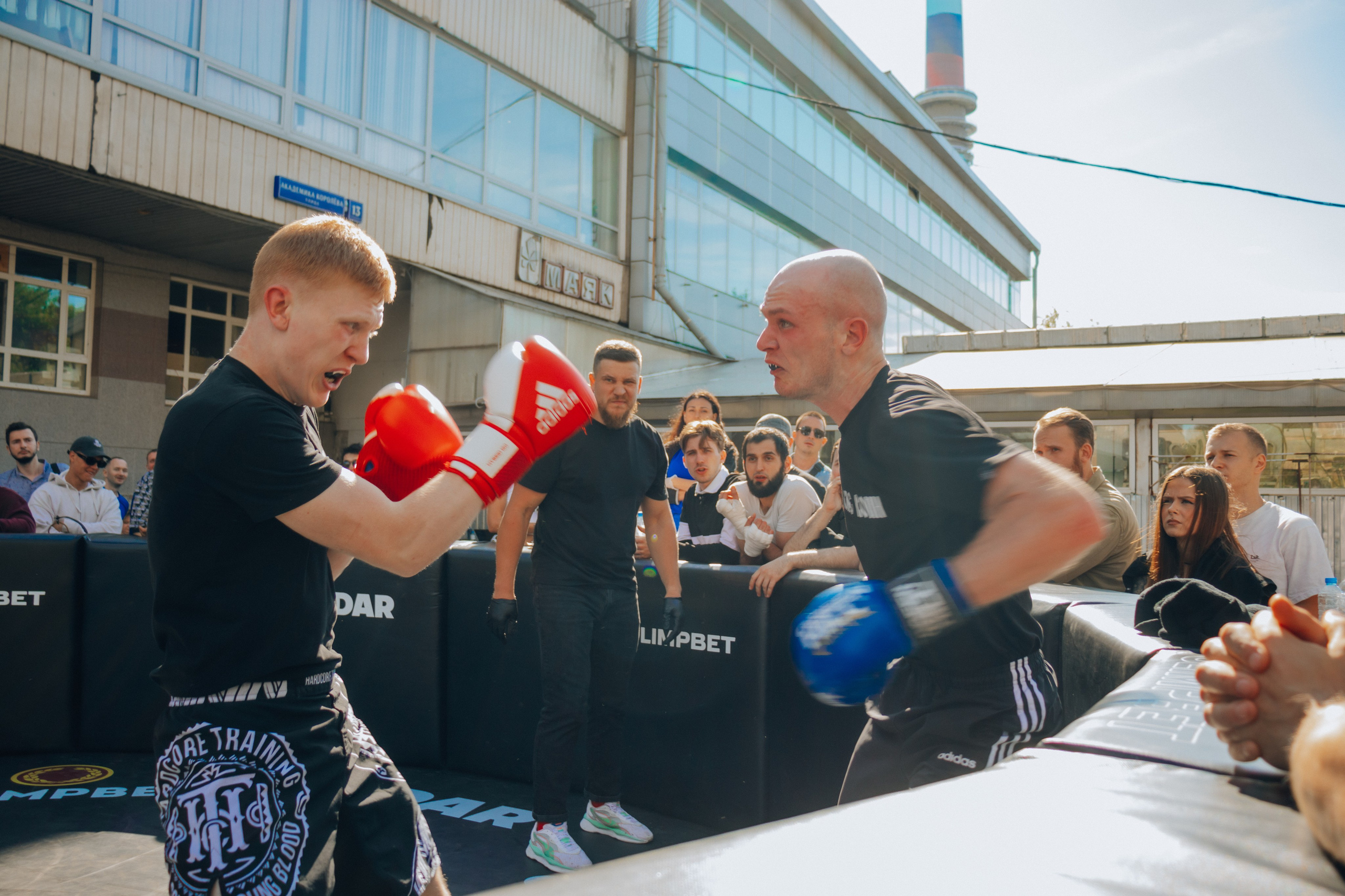 Открытый ринг. Анастасия Тен