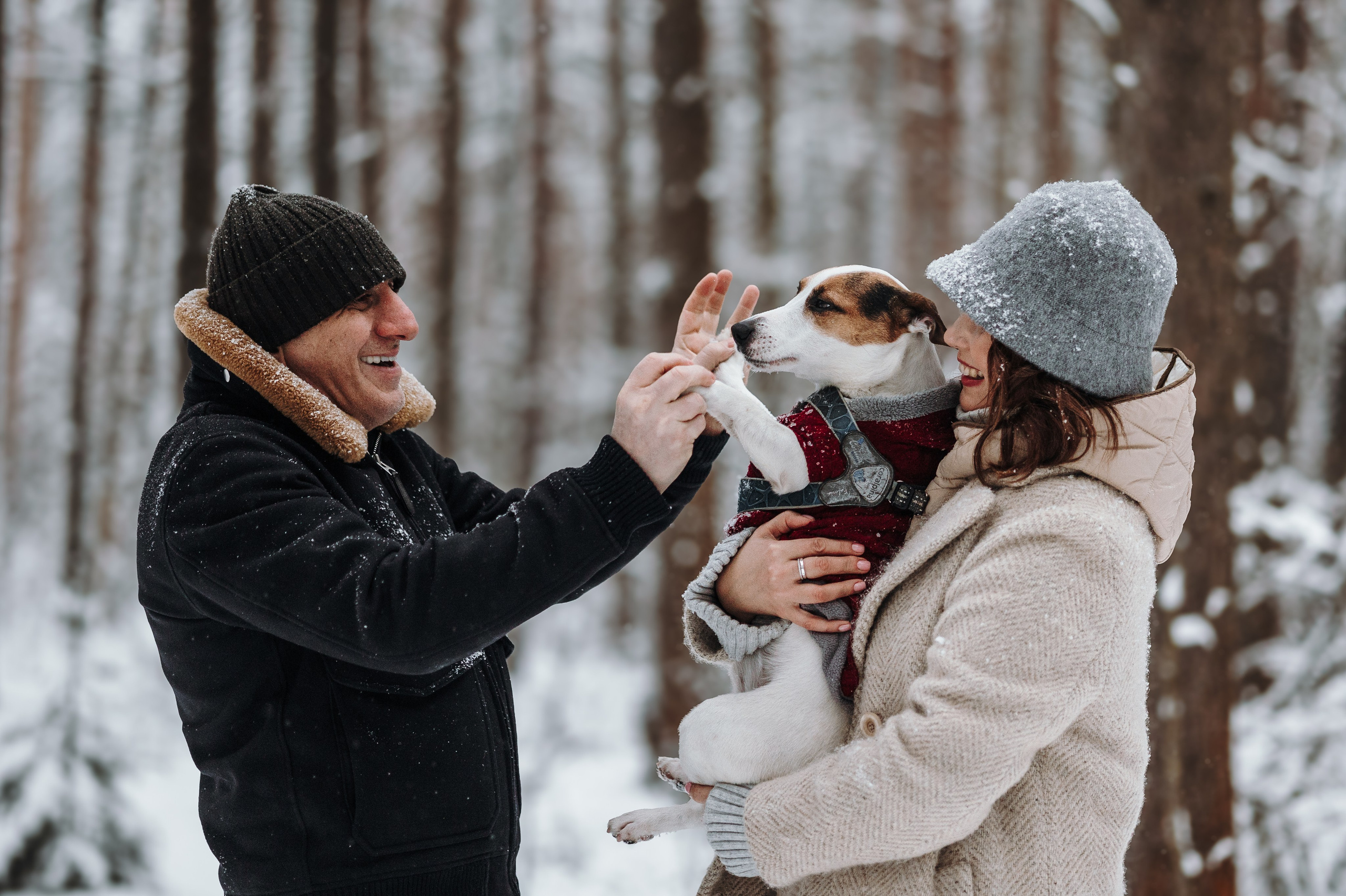 Мики и его семья. Фотограф — Анималист | Санкт-Петербург