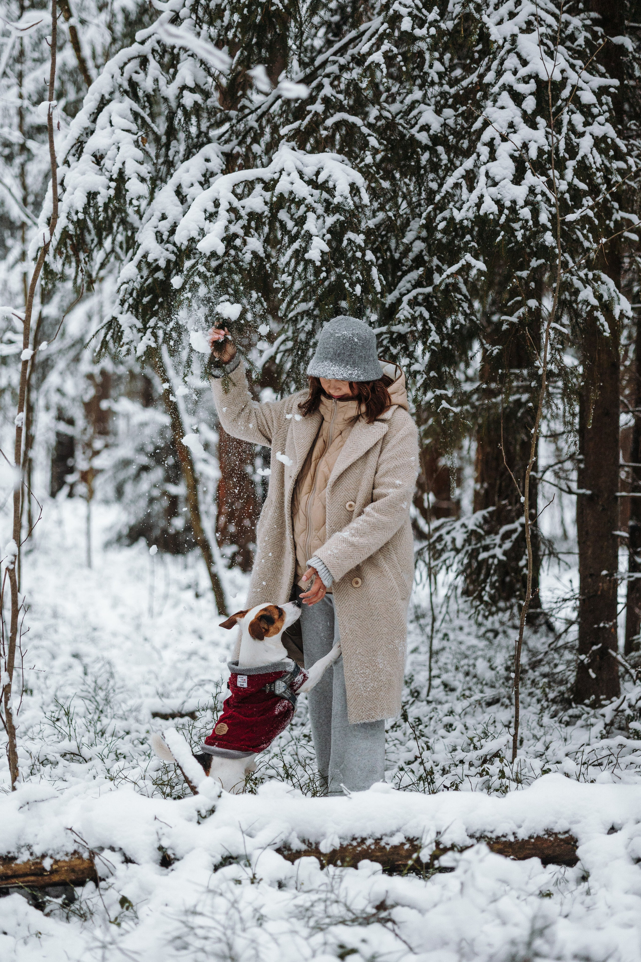 Наталья и Микки. Фотограф — Анималист | Санкт-Петербург