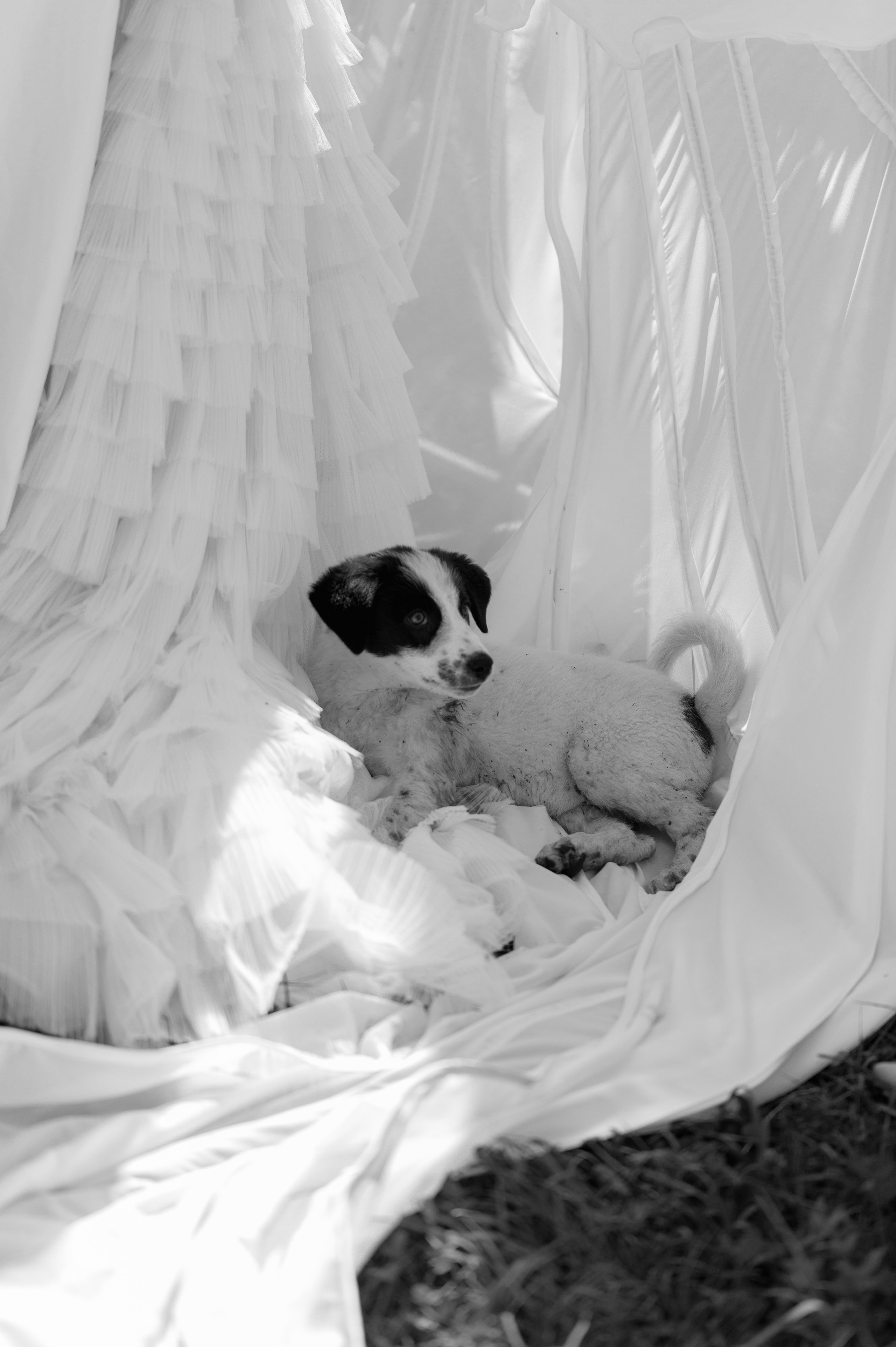 Лика и Тема. Грузия. Свадебный и портретный фотограф Москва, Нижний Новгород Летавина Алла