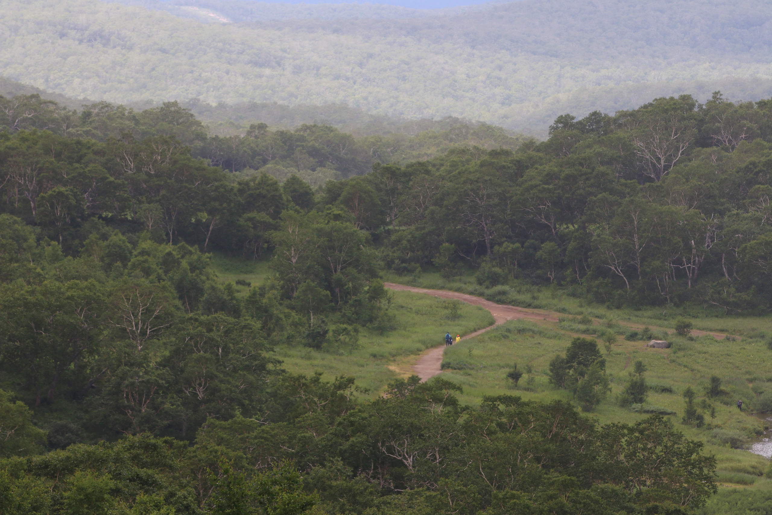 Камчатка и о. Парамушир. Июль 2024. Путешественник-фотограф из Санкт-Петербурга Татьяна Свистулина