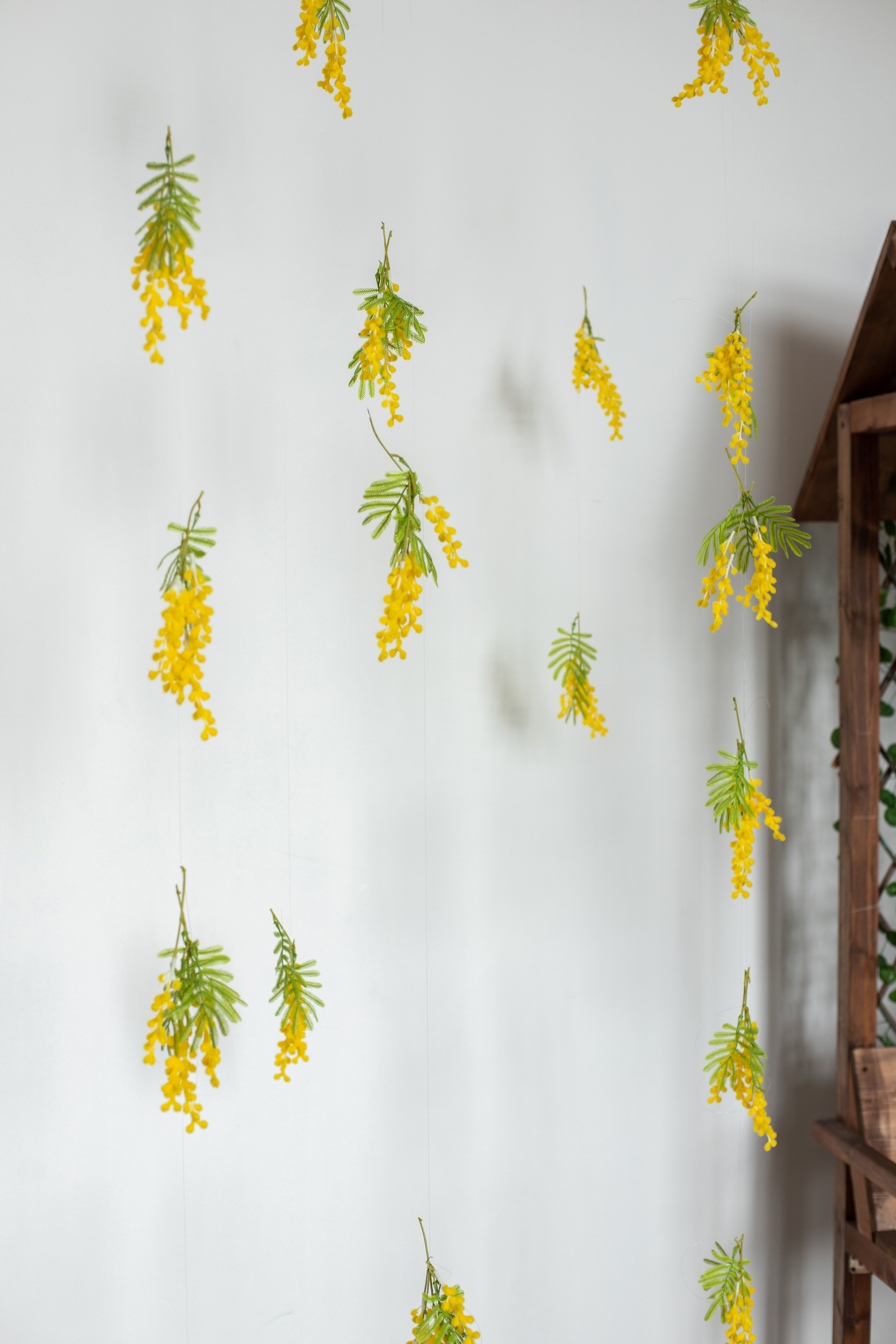 Буфет (студия Зеркало). Фотограф г. Хабаровск. Семейные и индивидуальные съёмки