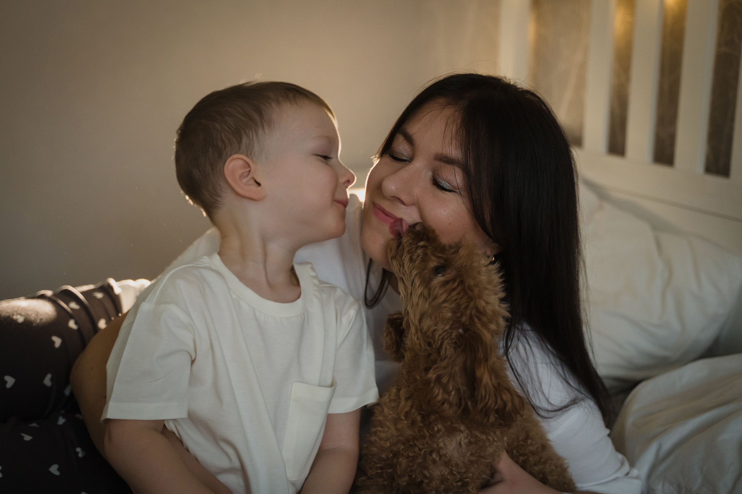 Предновогодний вечер. Главная