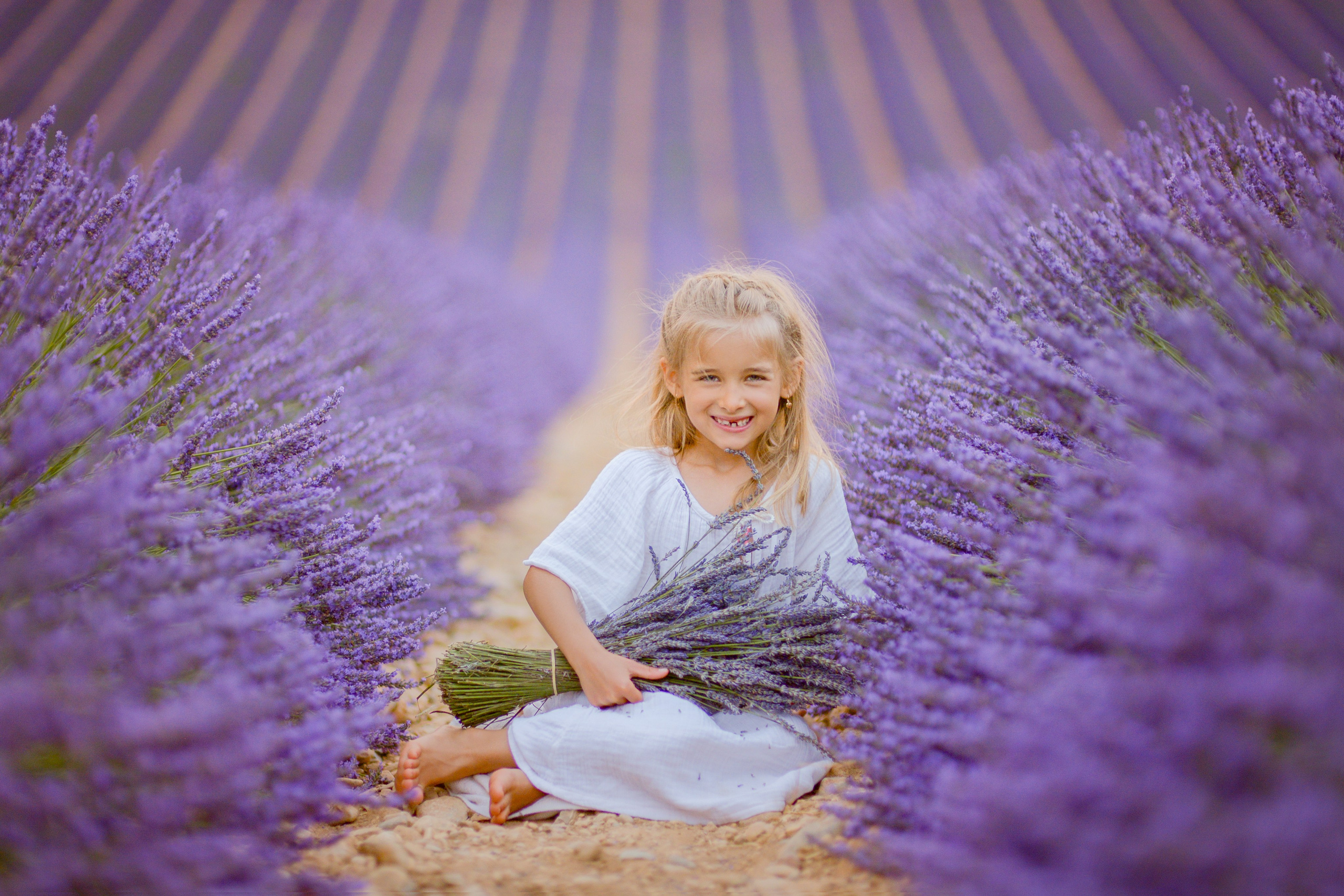 Lavender. Photographer in Provence Julia Lipiainen