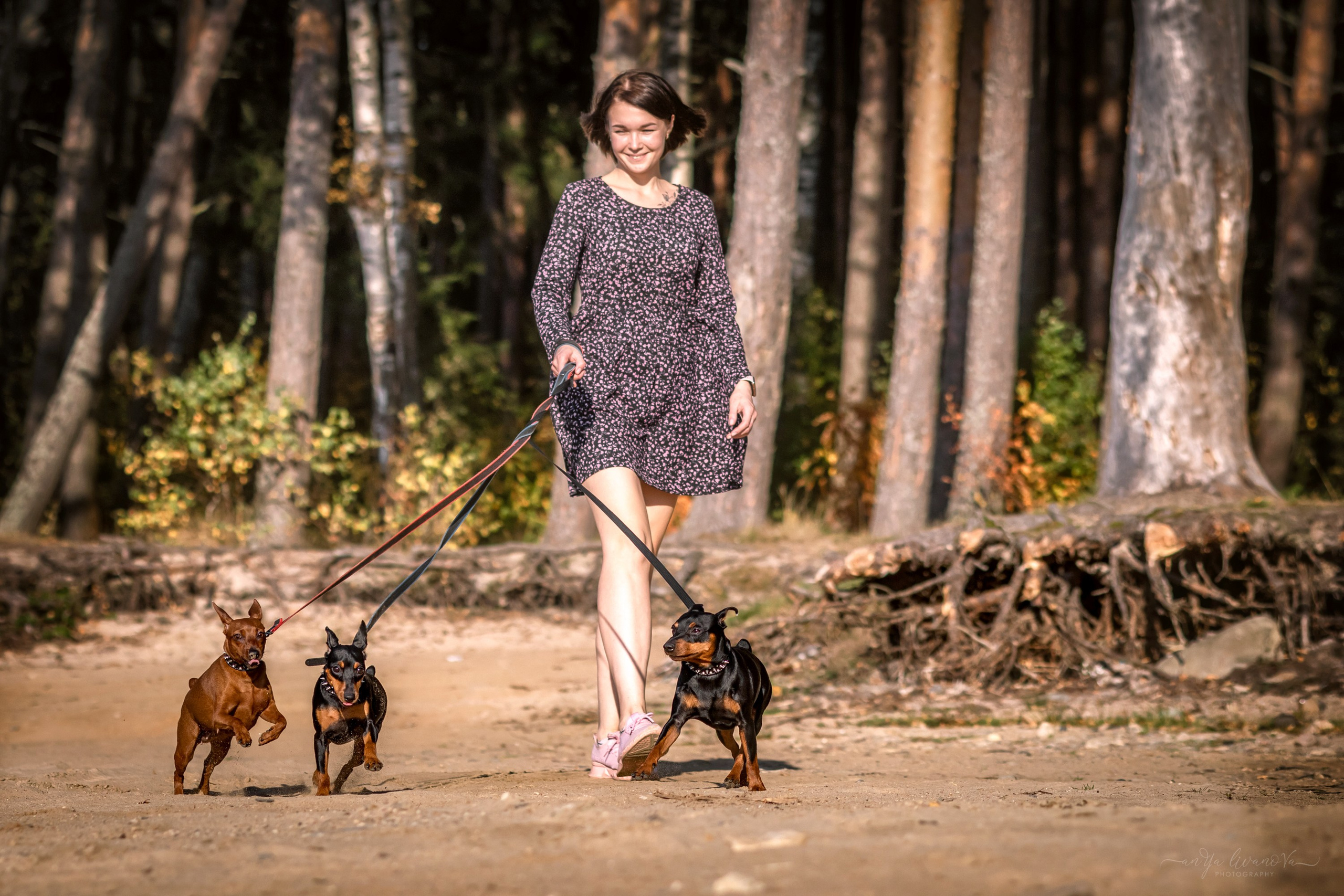Мия — Тайсон — Марси и Лена. Фотограф анималист Аня Ливанова | Рыбинск