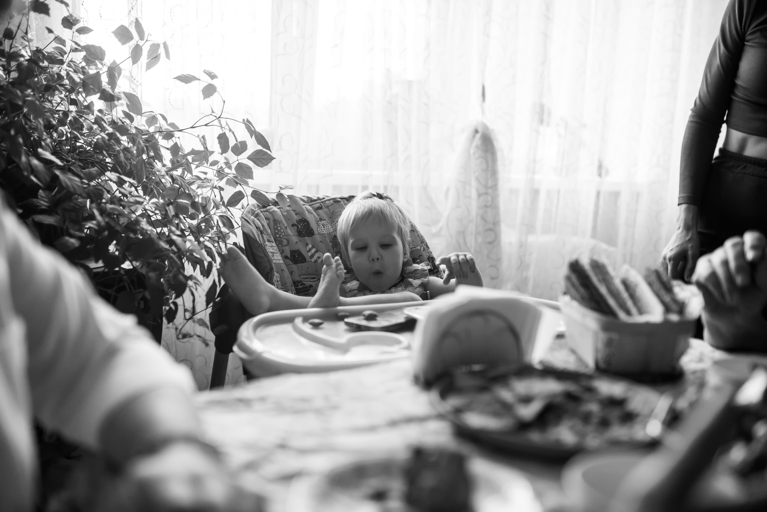 1 сентября. Семейный фотограф Олеся Батурина Рязань