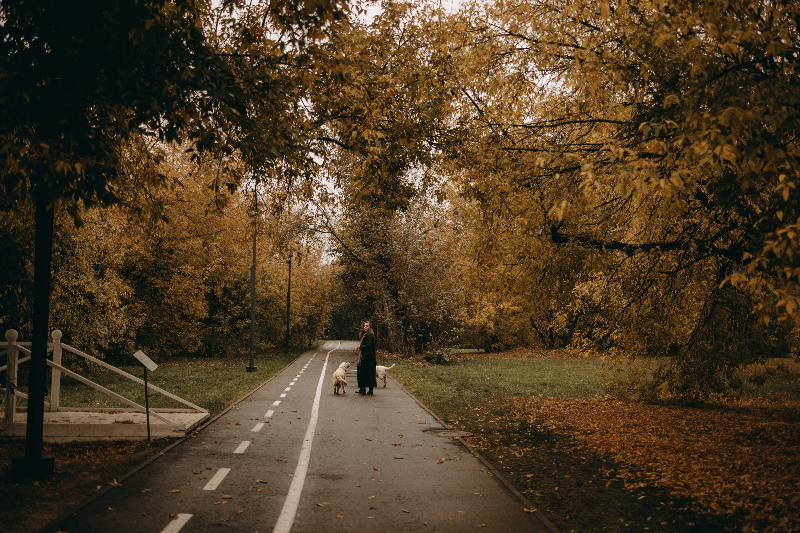 Женя и ее девочки. Фотограф — Анималист | Санкт-Петербург