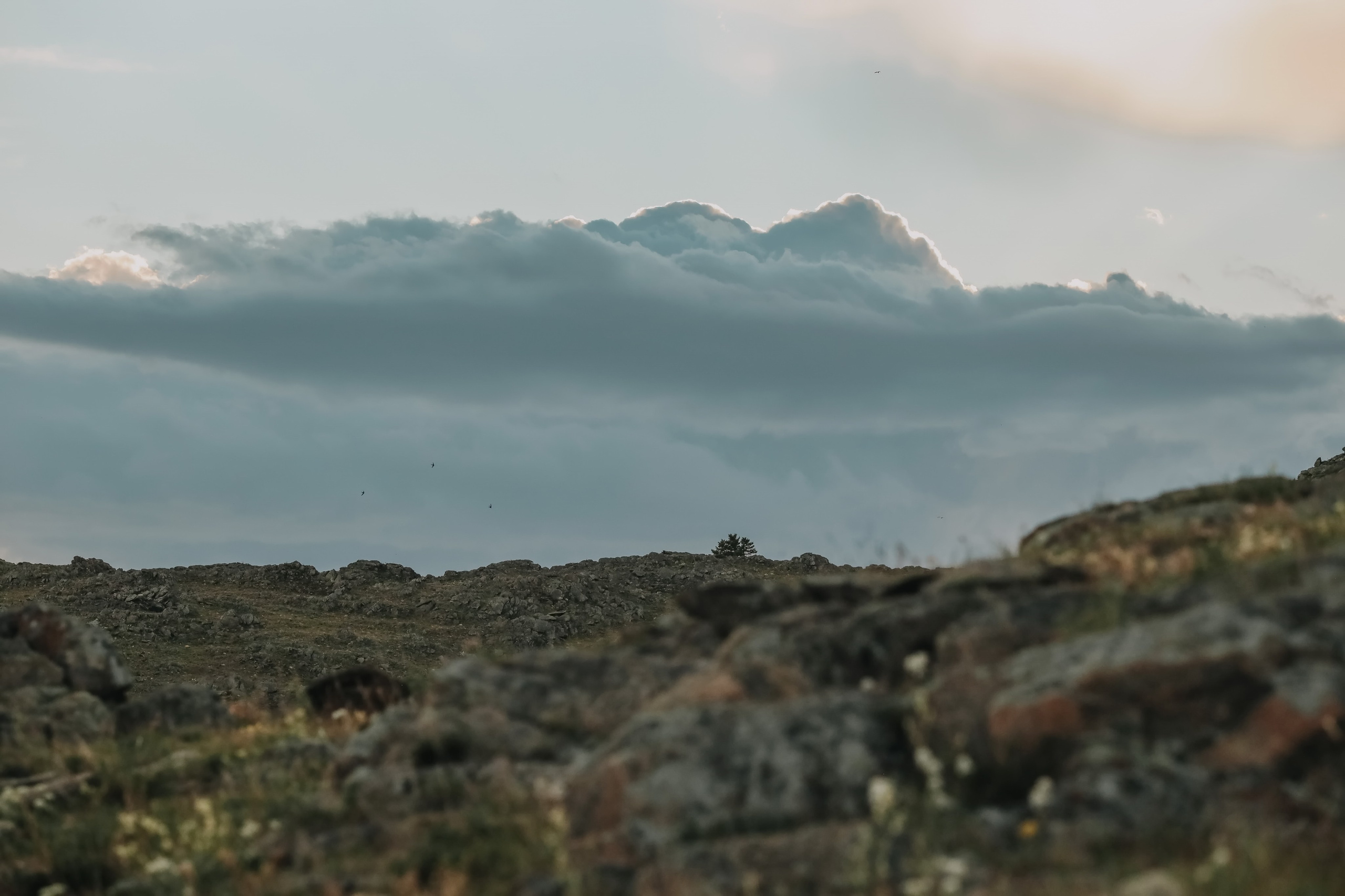 Репортажная съемка. Байкал. Ретит. Ольхон. Фотограф Софья Васильковская