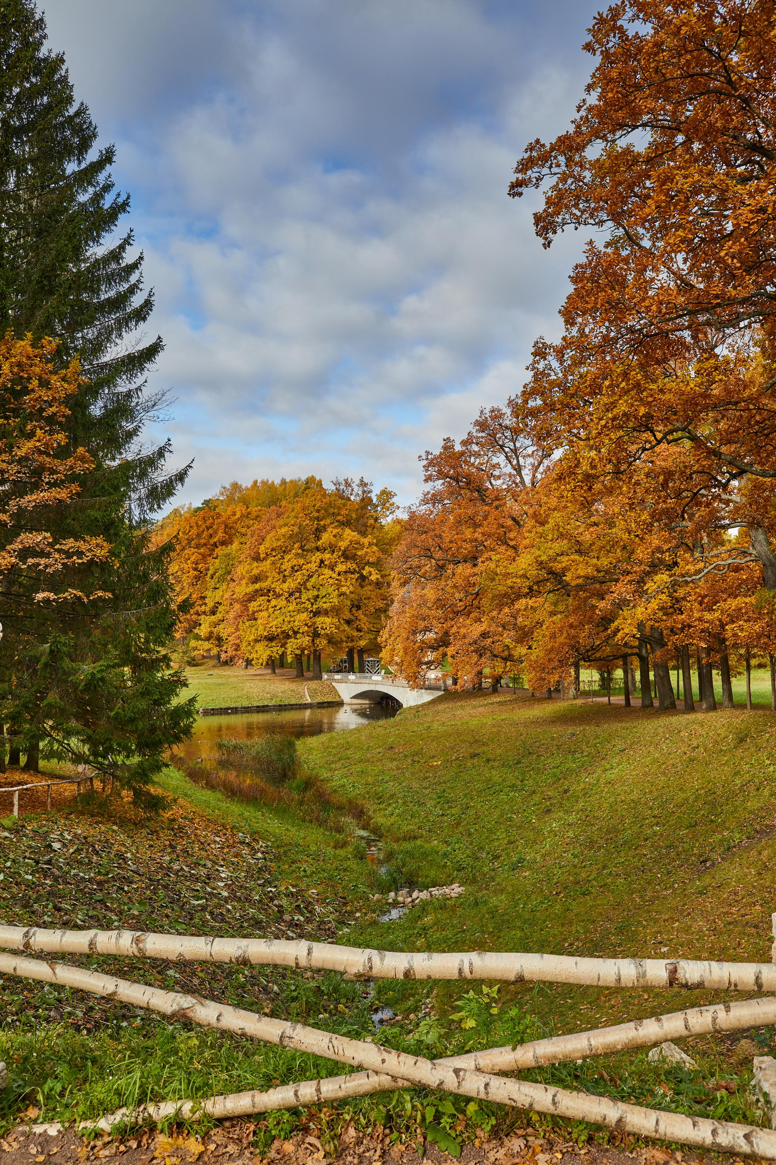 Landscape. Photographer Victor Evstafev