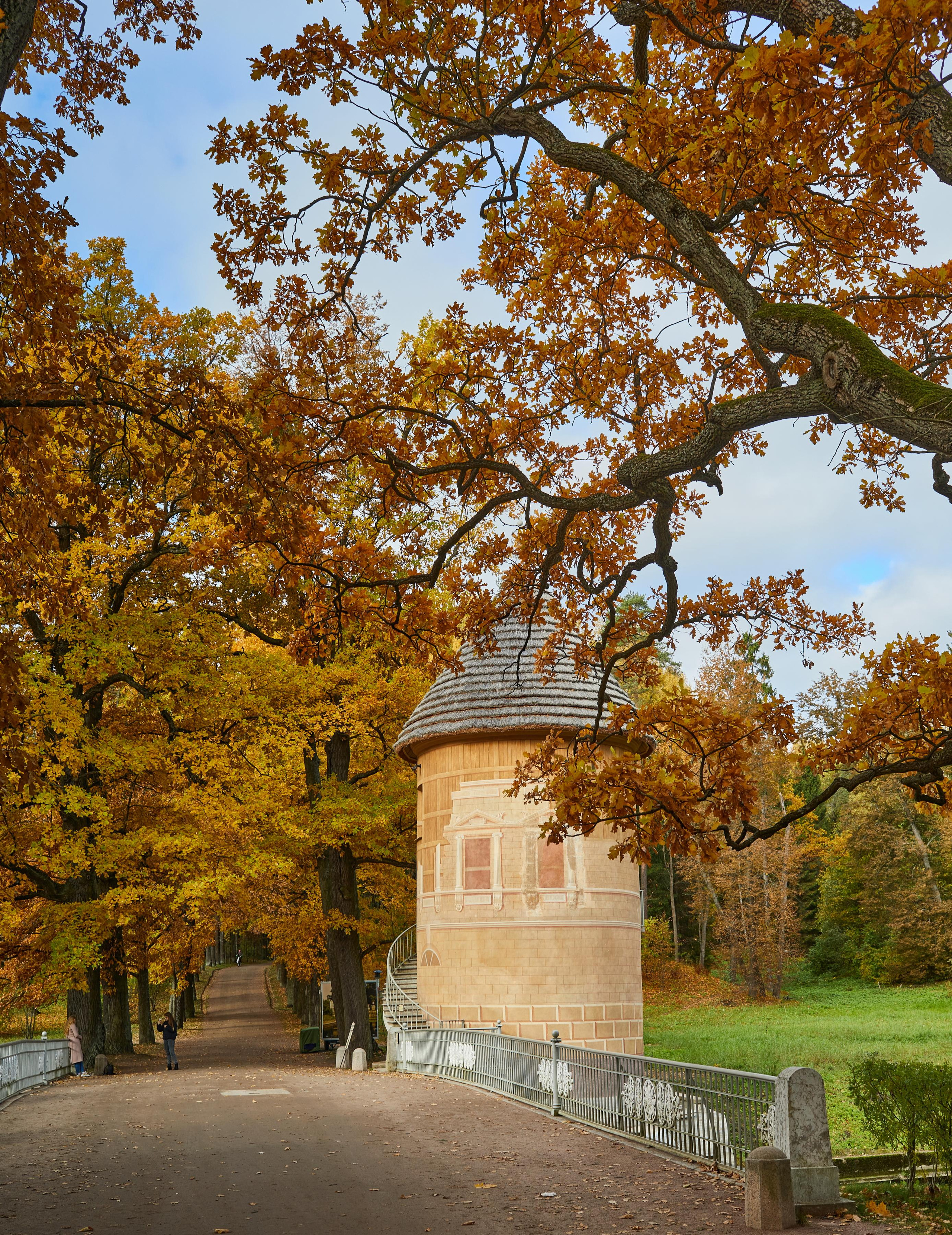 Landscape. Photographer Victor Evstafev
