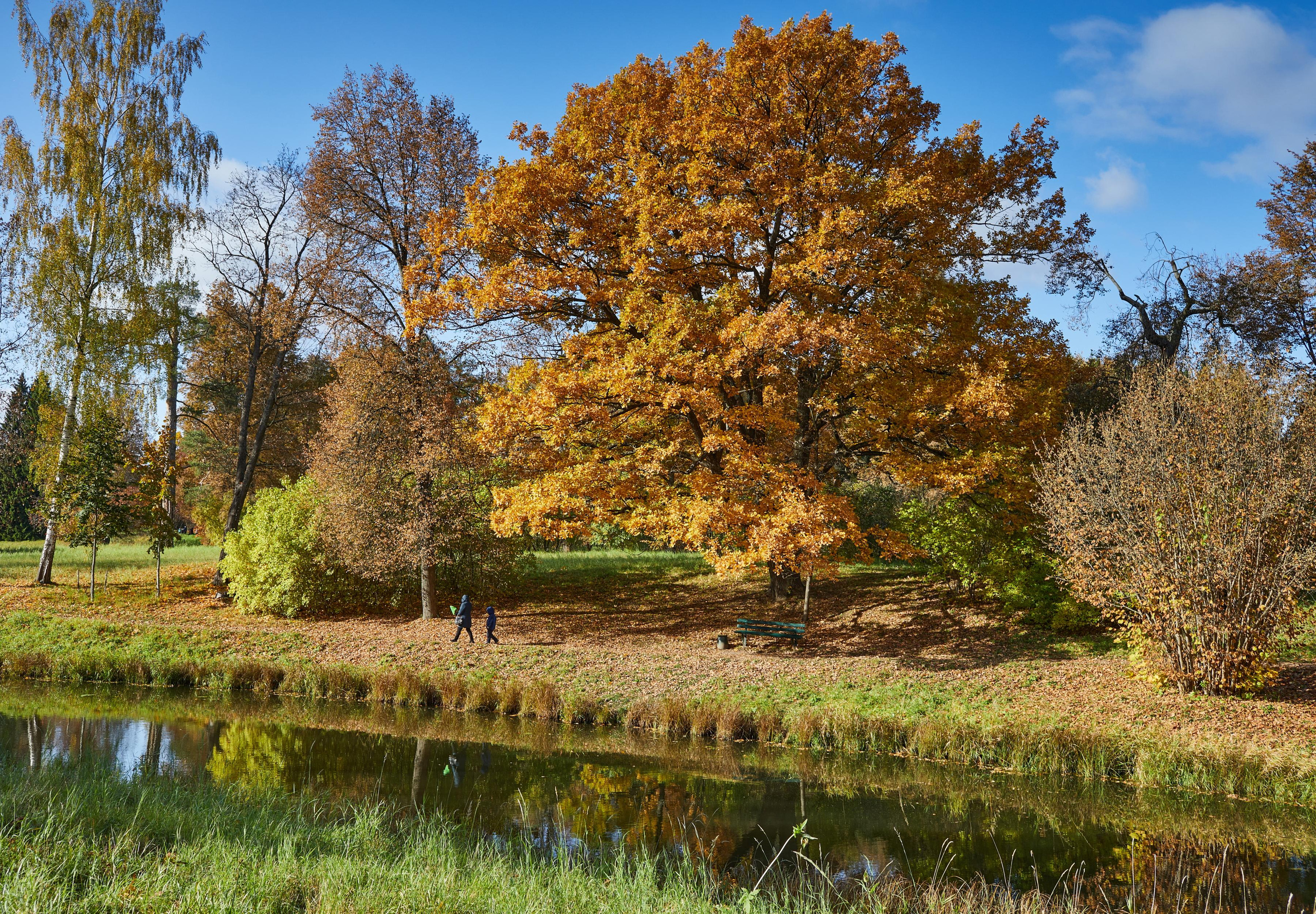 Landscape. Photographer Victor Evstafev