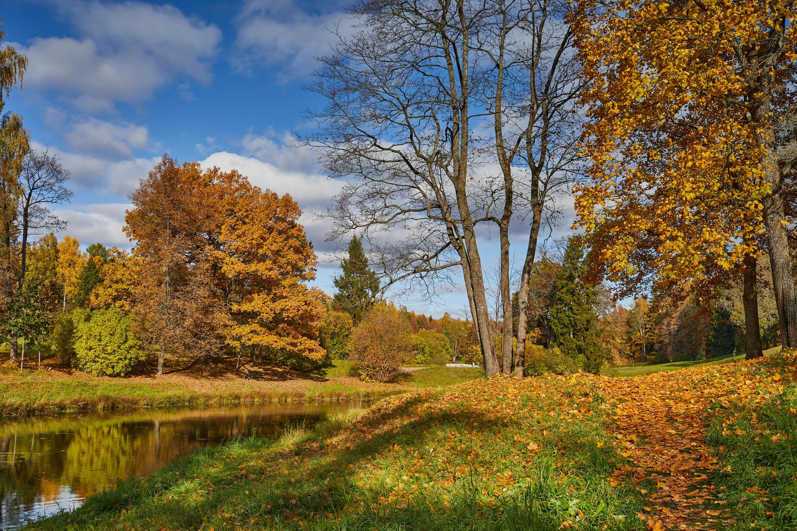 Landscape. Photographer Victor Evstafev