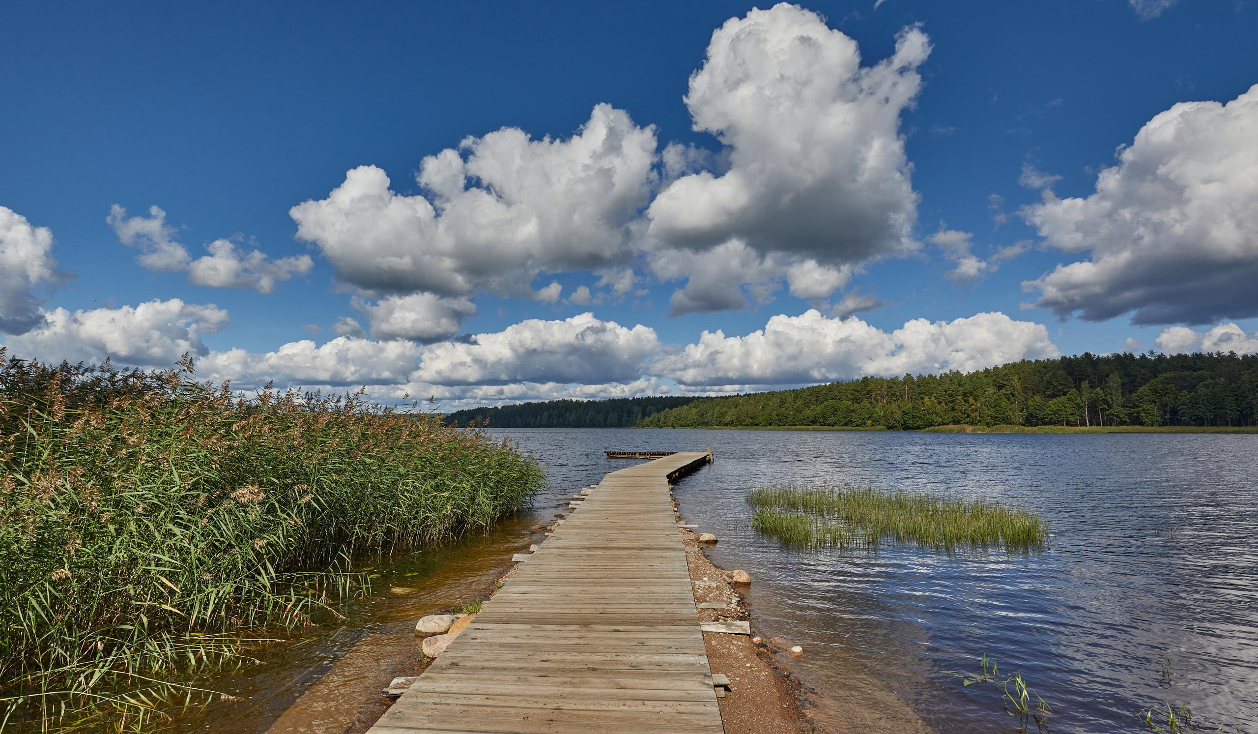 Landscape. Photographer Victor Evstafev
