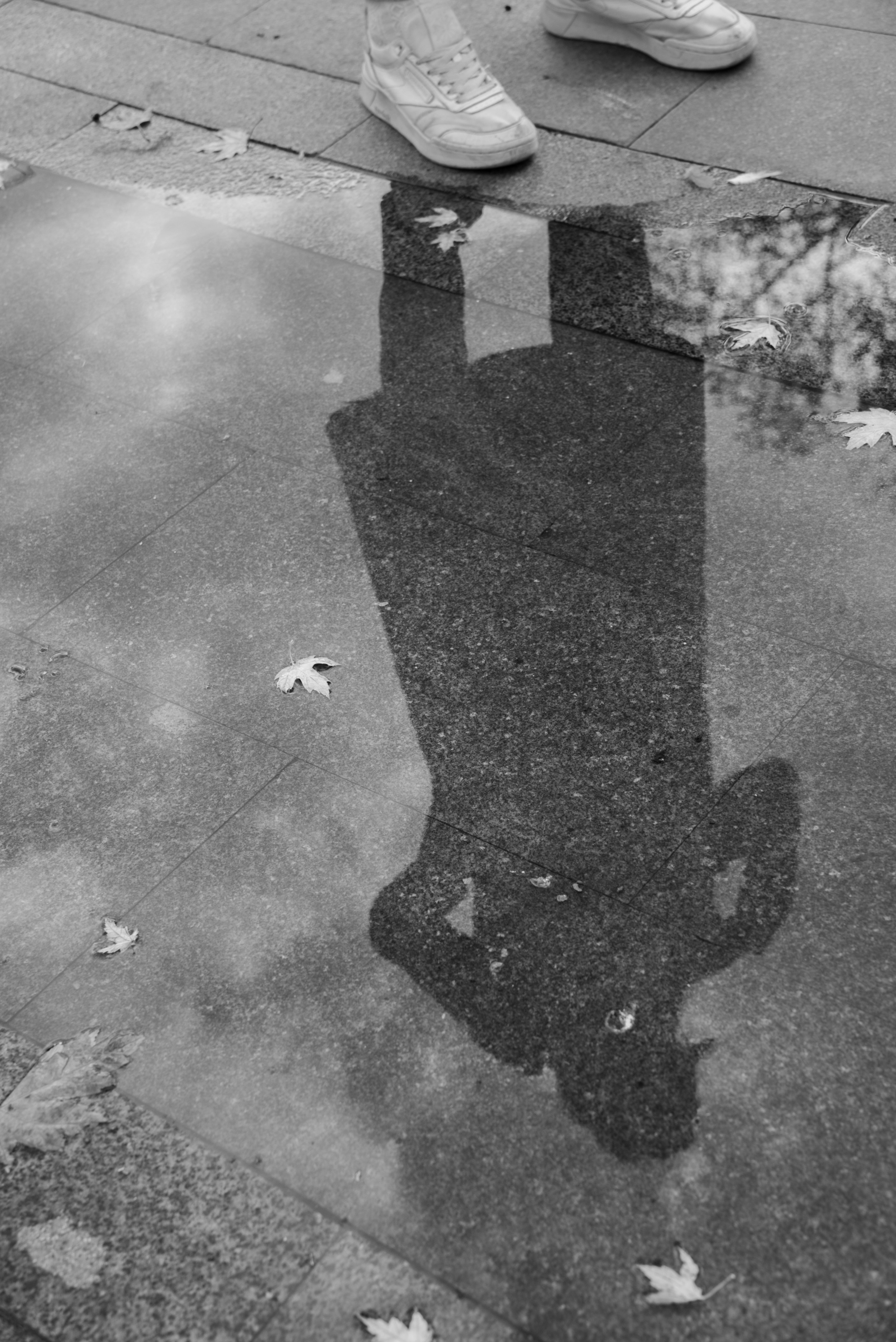 Золотая осень. Видеограф Осинина Татьяна — видеосъемка в Москве