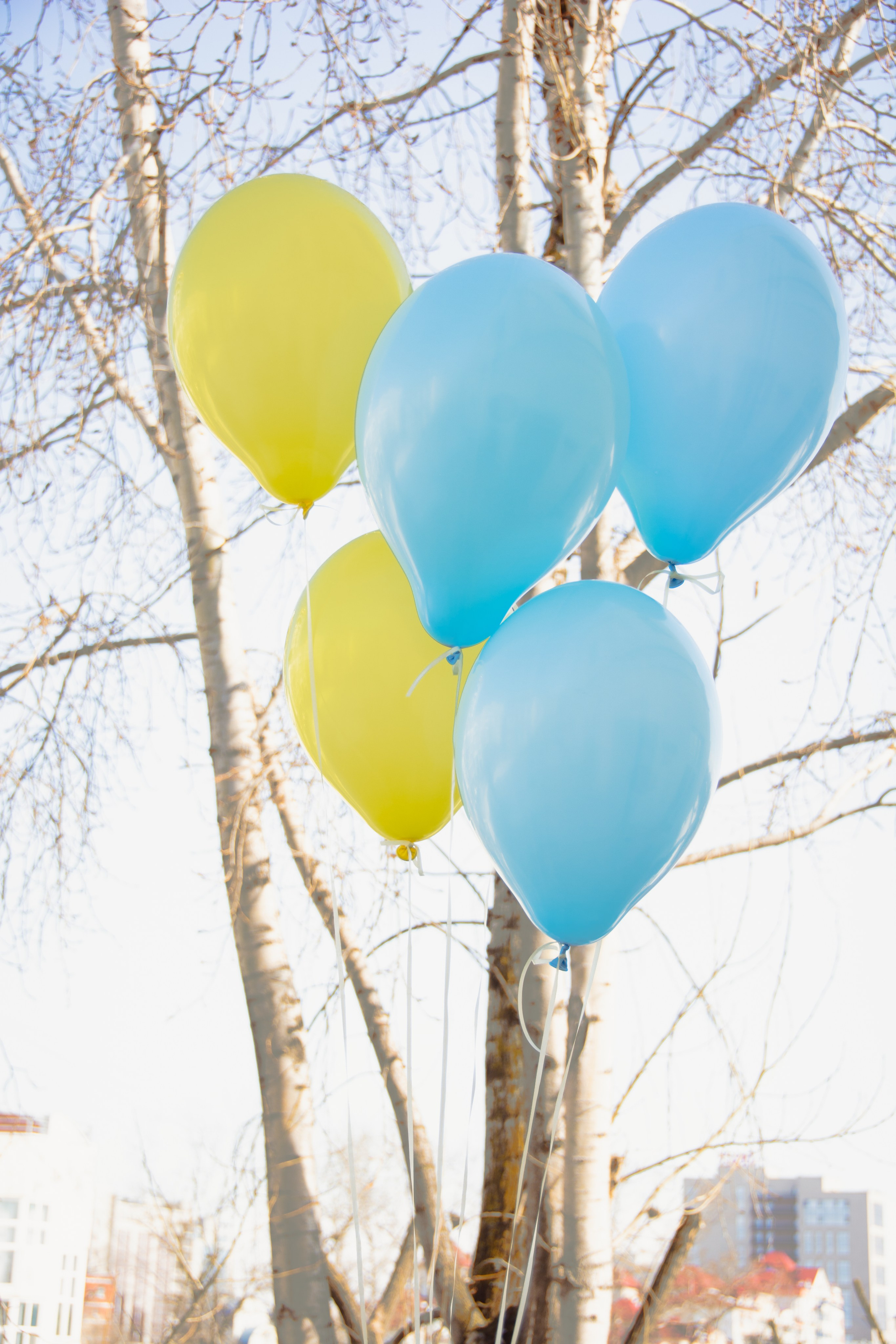 Выписка Тимоши. Семейный и репортажный фотограф в Хабаровске Татьяна Болычева