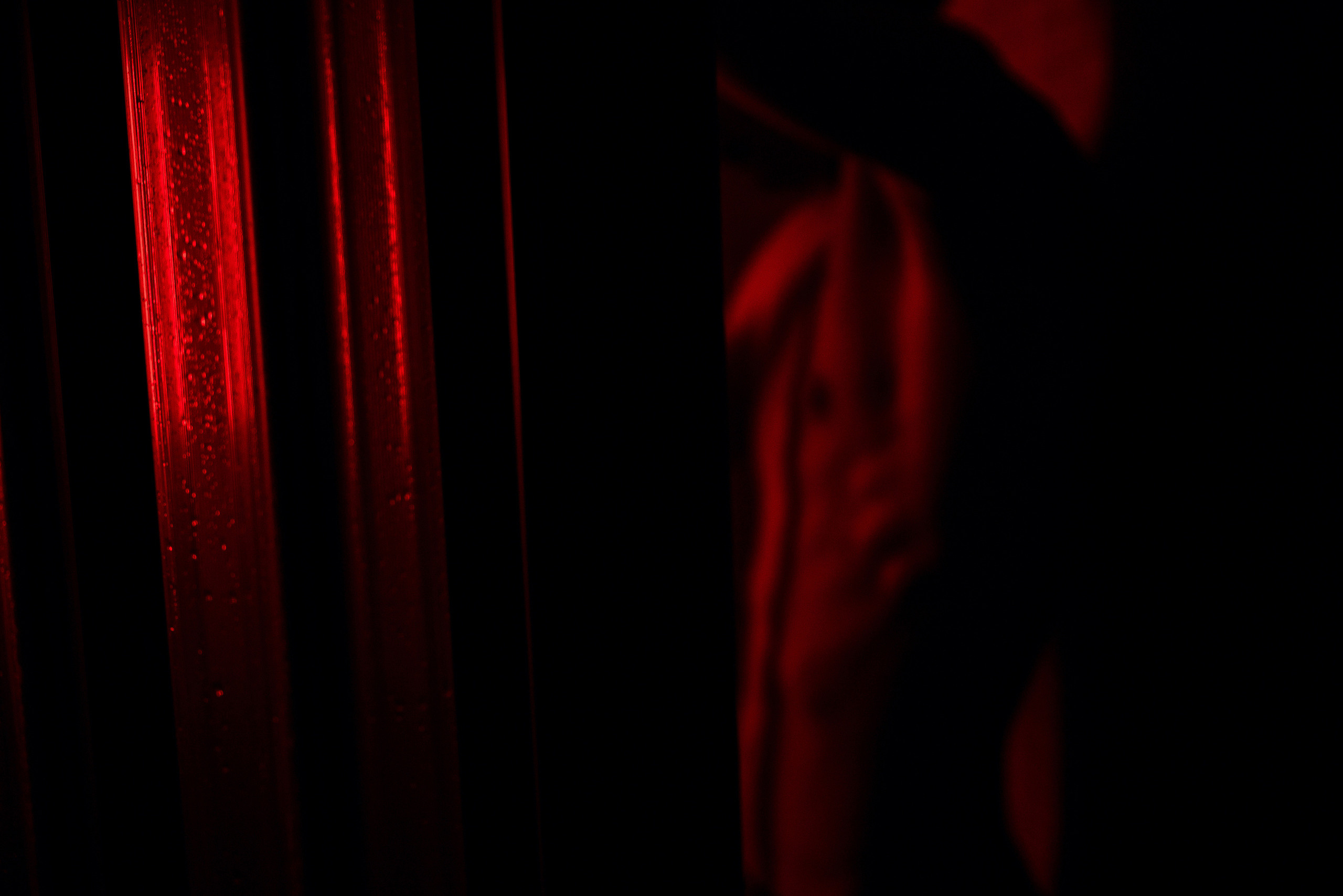 Вероника и Егор. Фотограф Владимир Лукашев