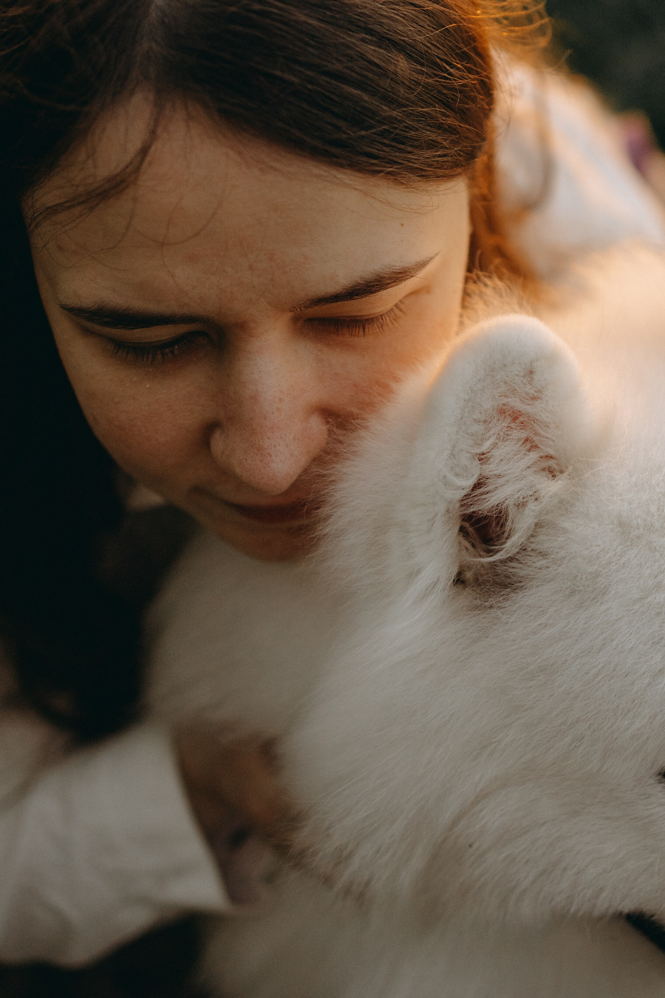 Танго и его семья. Фотограф — Анималист | Санкт-Петербург