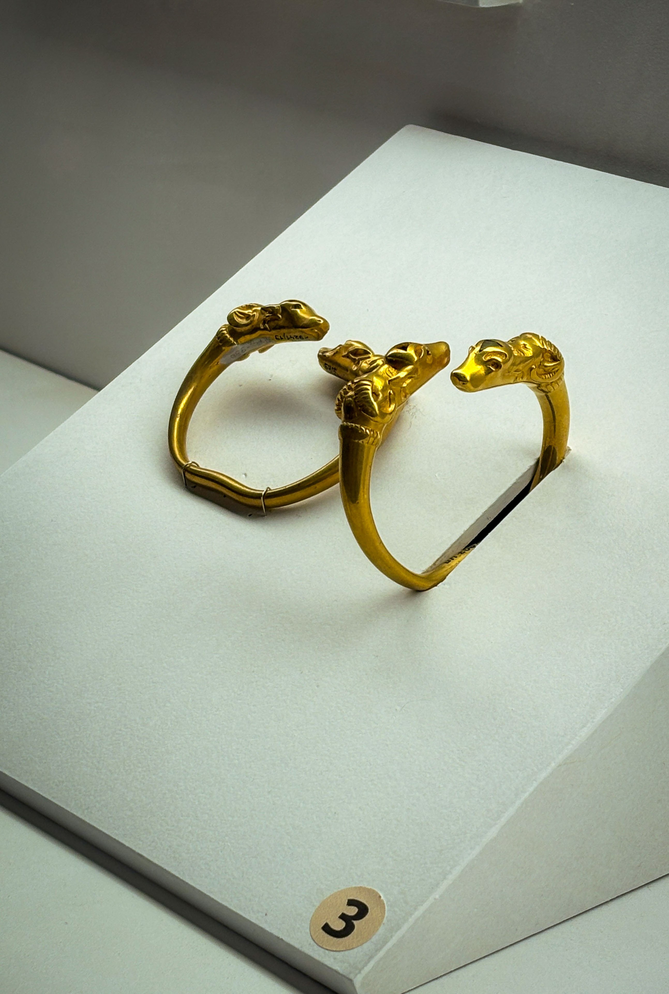 Казахстан (осень 2024). Фотограф Виноградов Константин