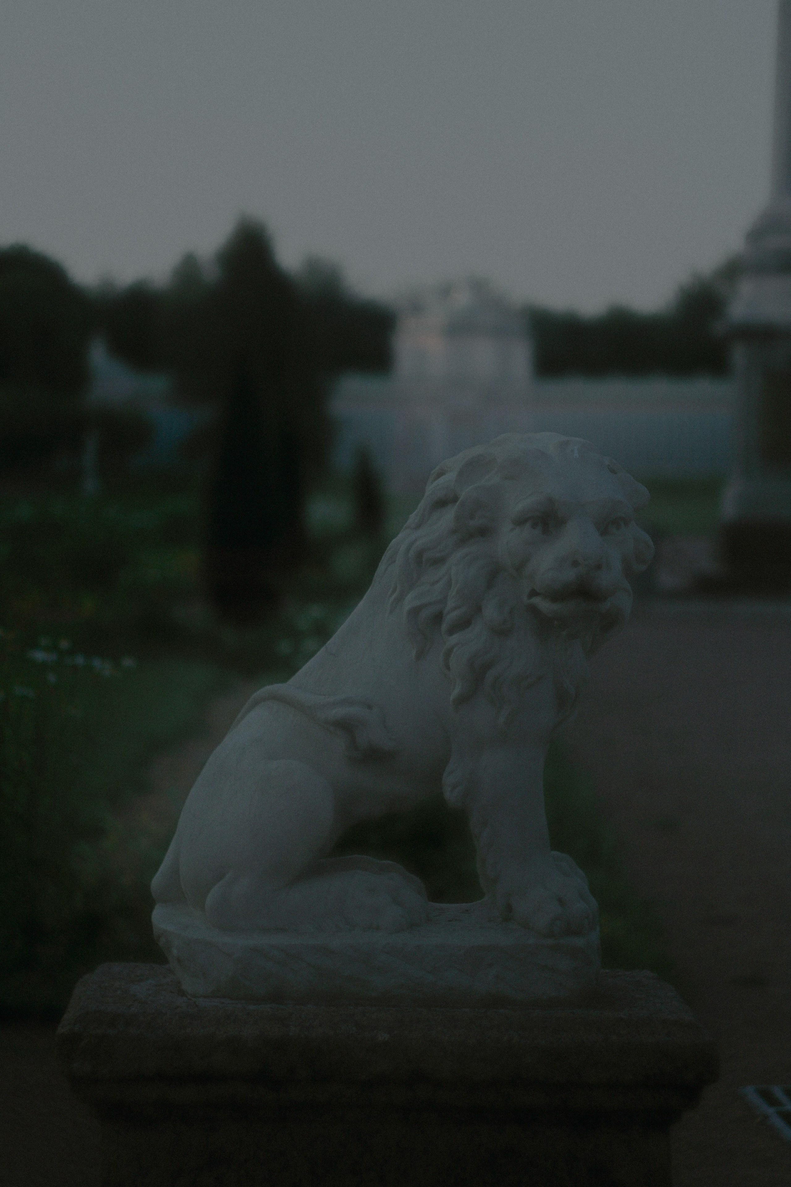 Егор. Портретный и художественный фотограф в Москве